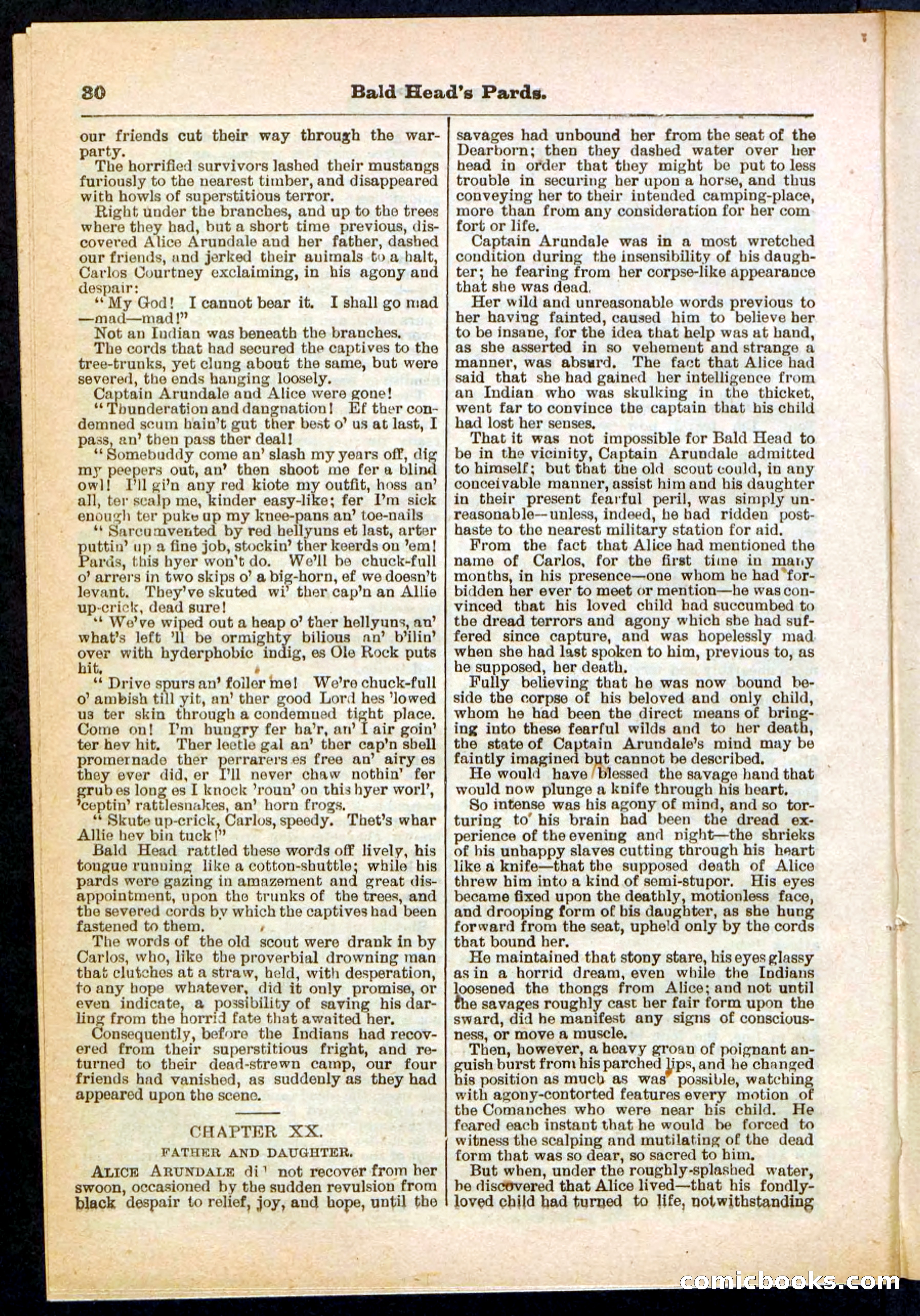 Beadle's Pocket Library No. 304 — page 30 of 48