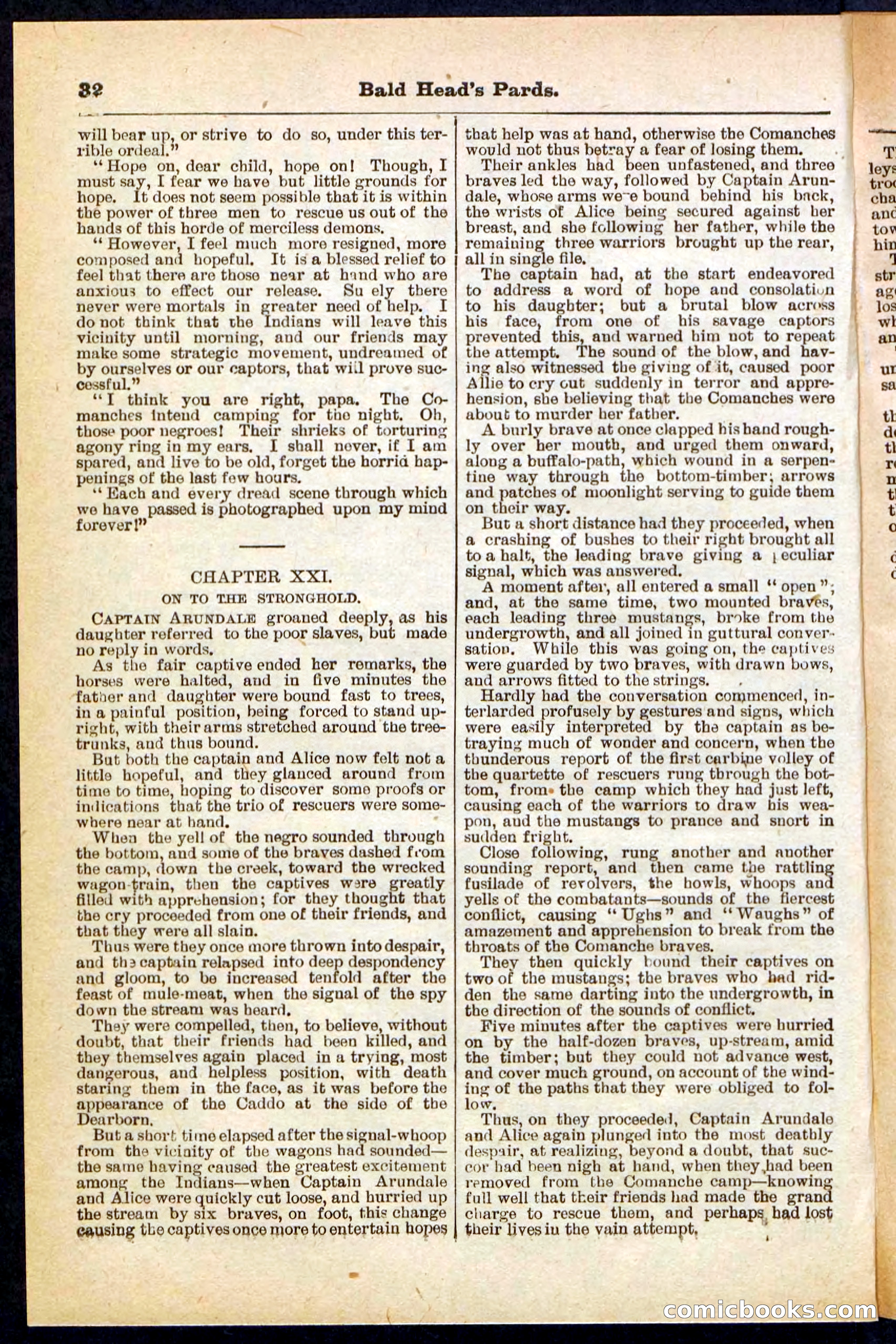 Beadle's Pocket Library No. 304 — page 32 of 48