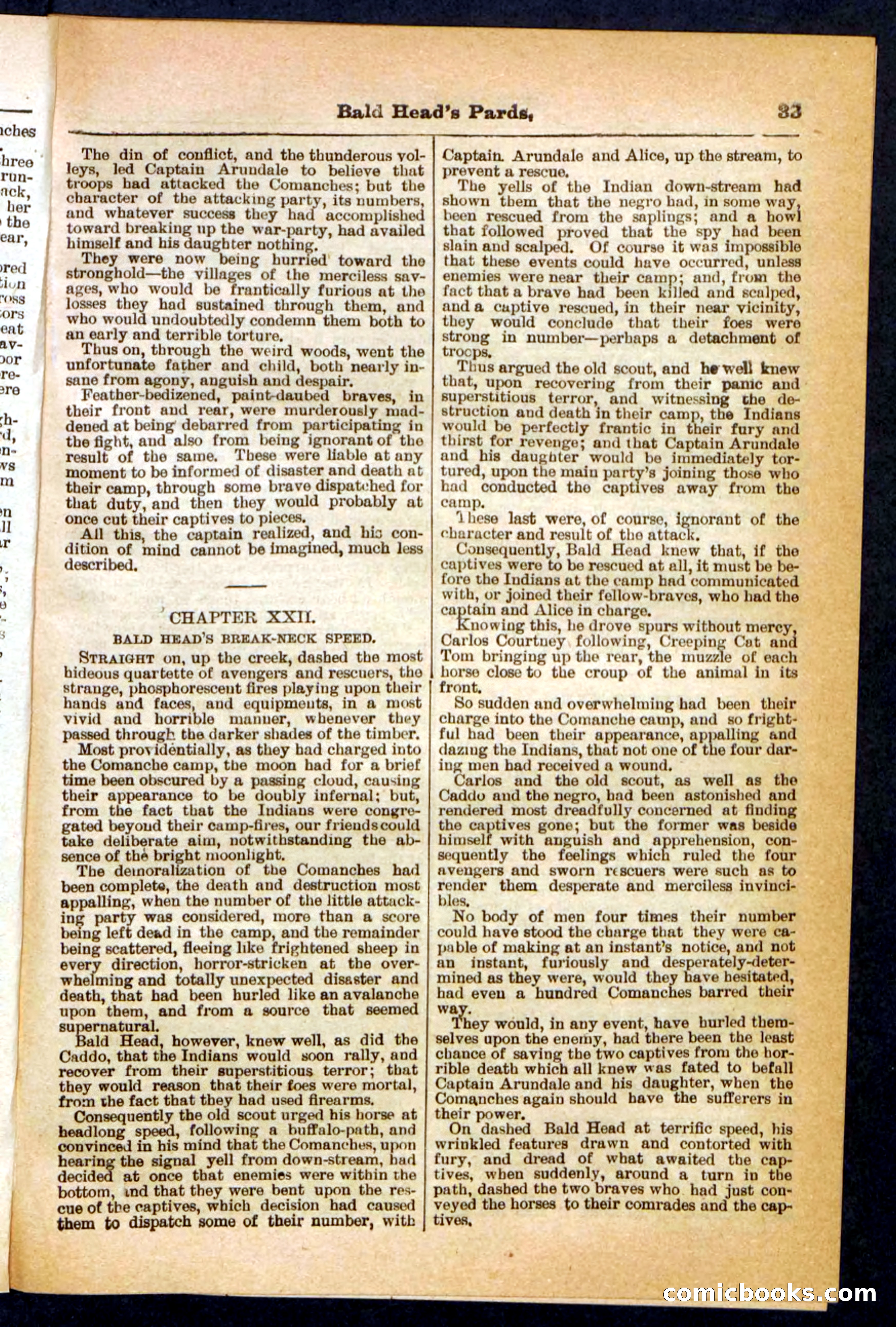 Beadle's Pocket Library No. 304 — page 33 of 48