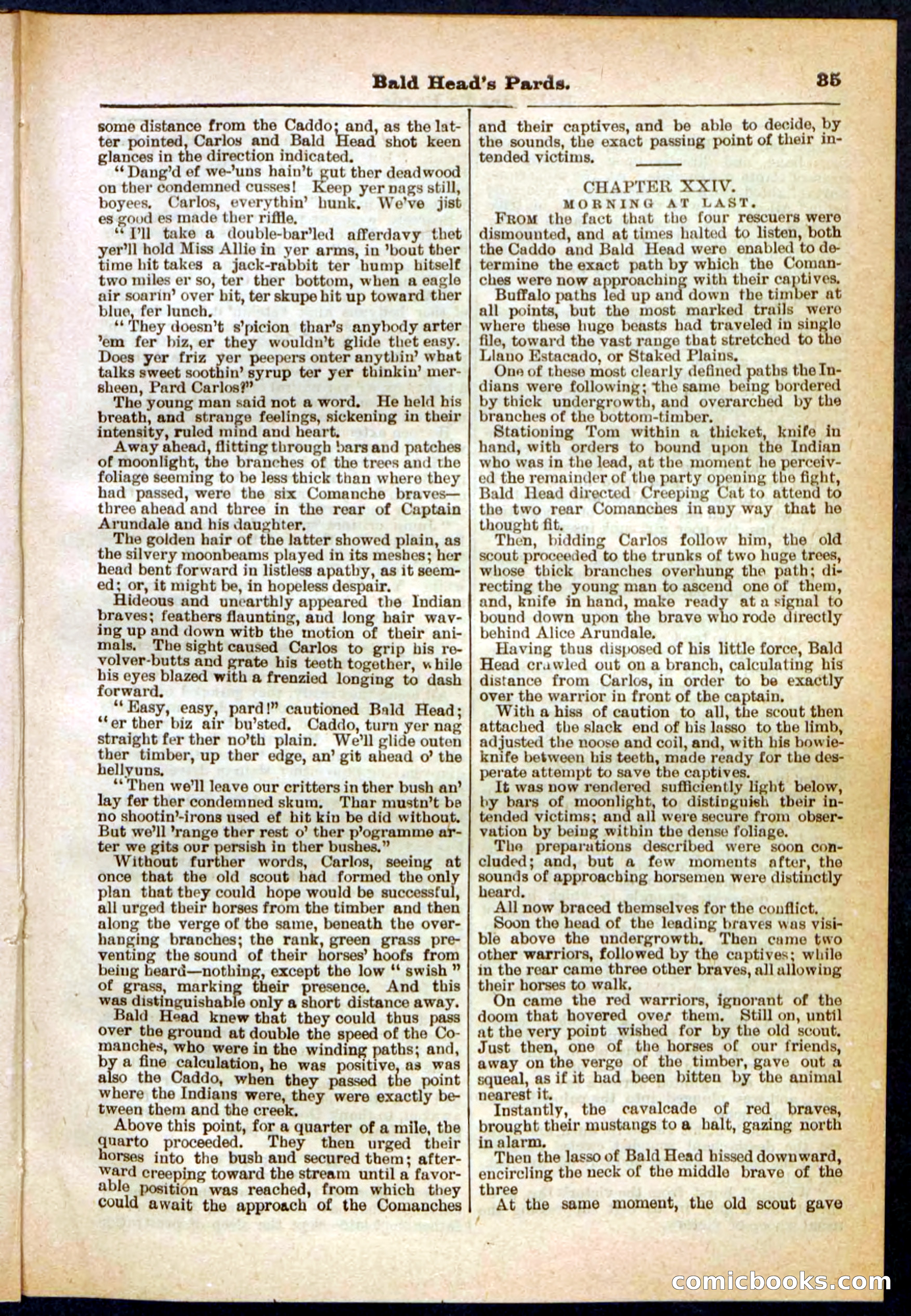 Beadle's Pocket Library No. 304 — page 35 of 48