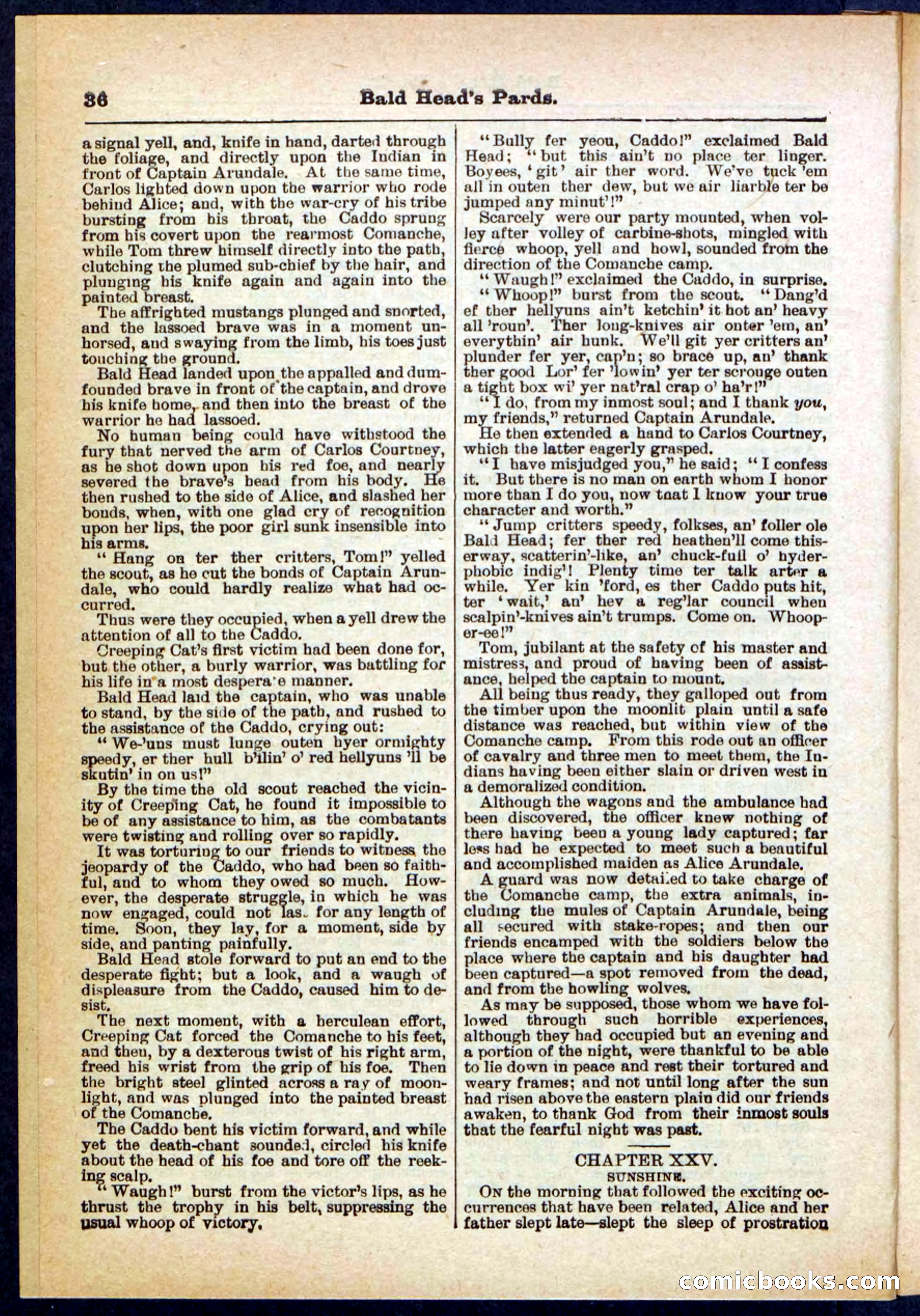 Beadle's Pocket Library No. 304 — page 36 of 48