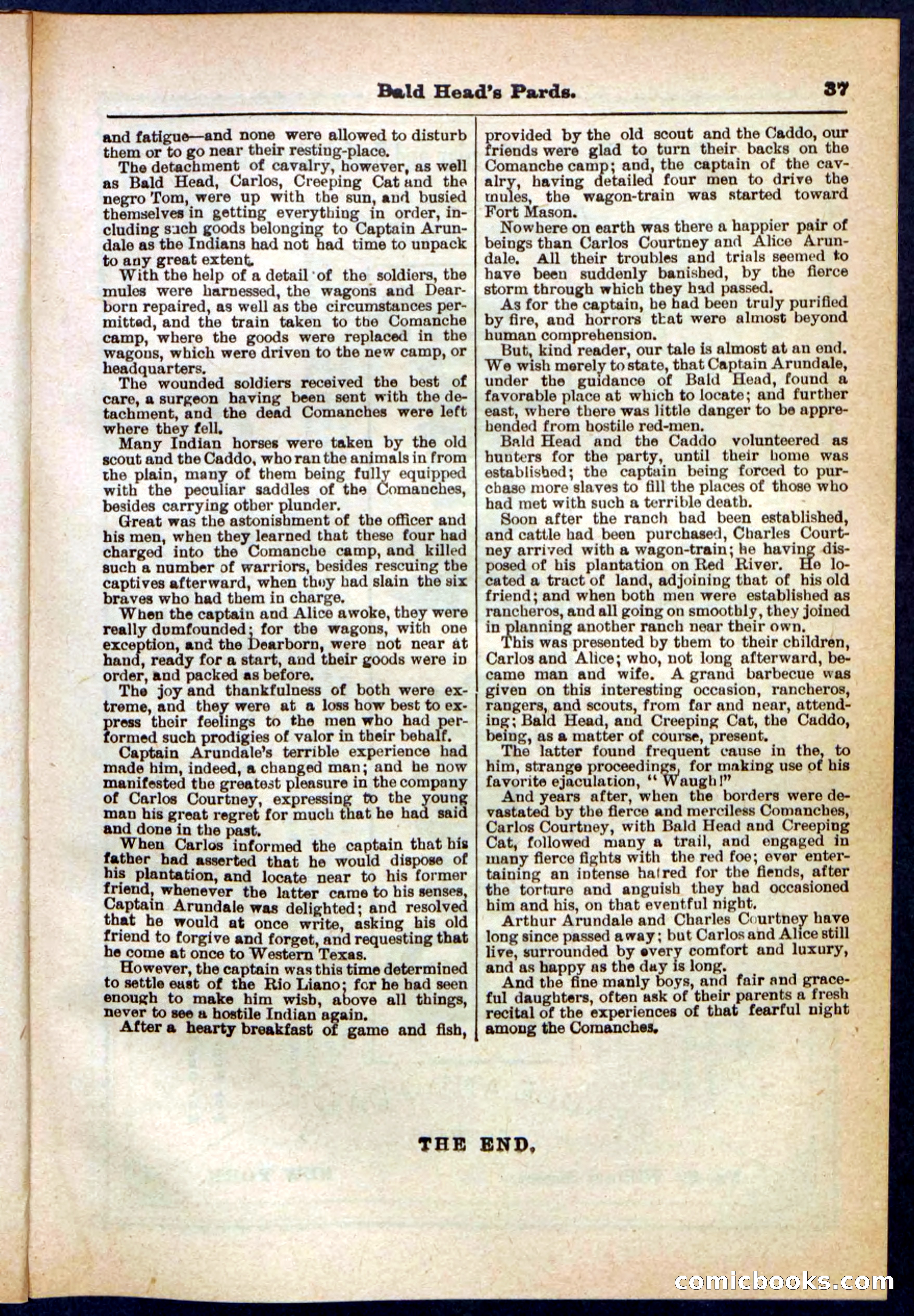 Beadle's Pocket Library No. 304 — page 37 of 48