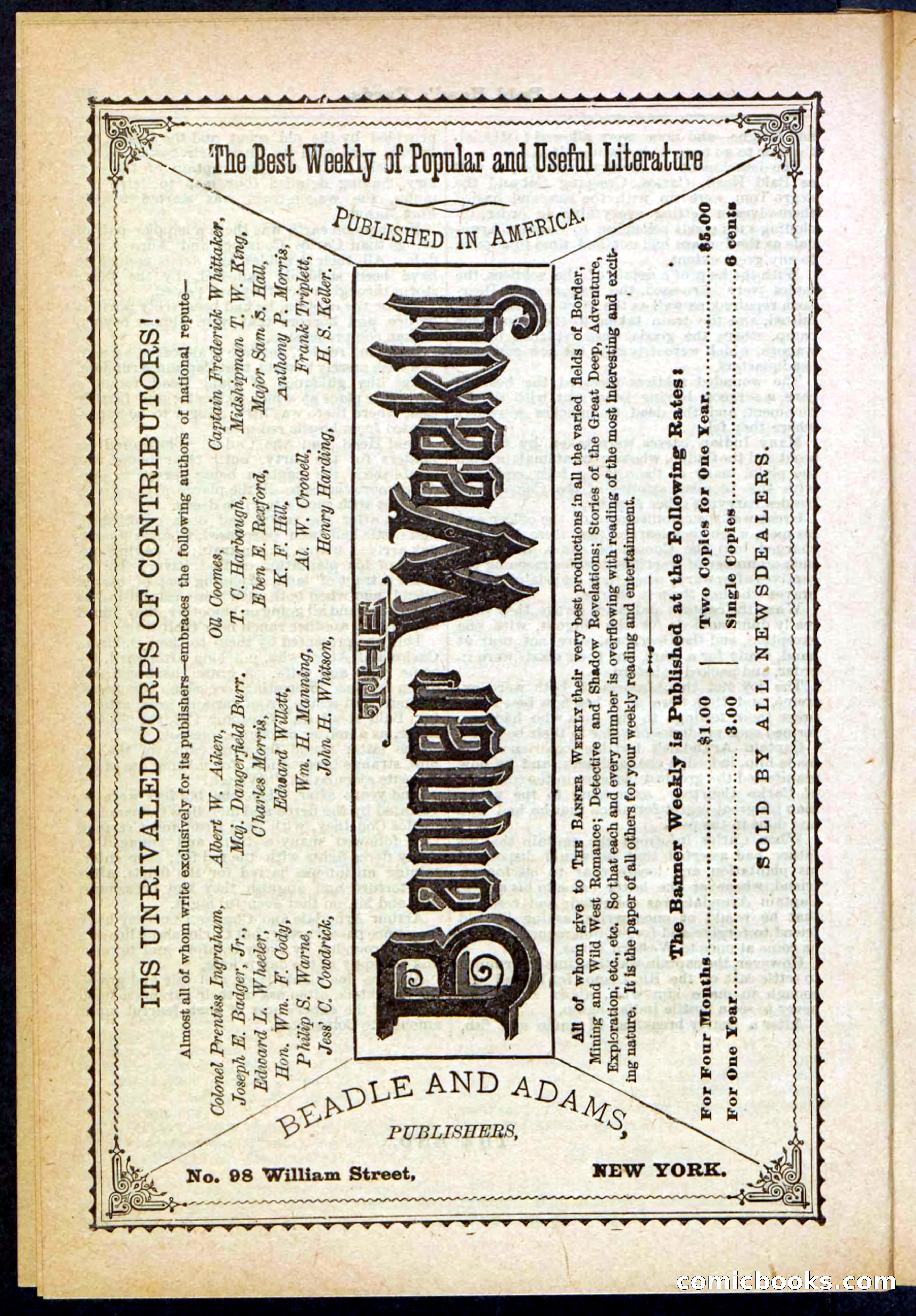 Beadle's Pocket Library No. 304 — page 38 of 48