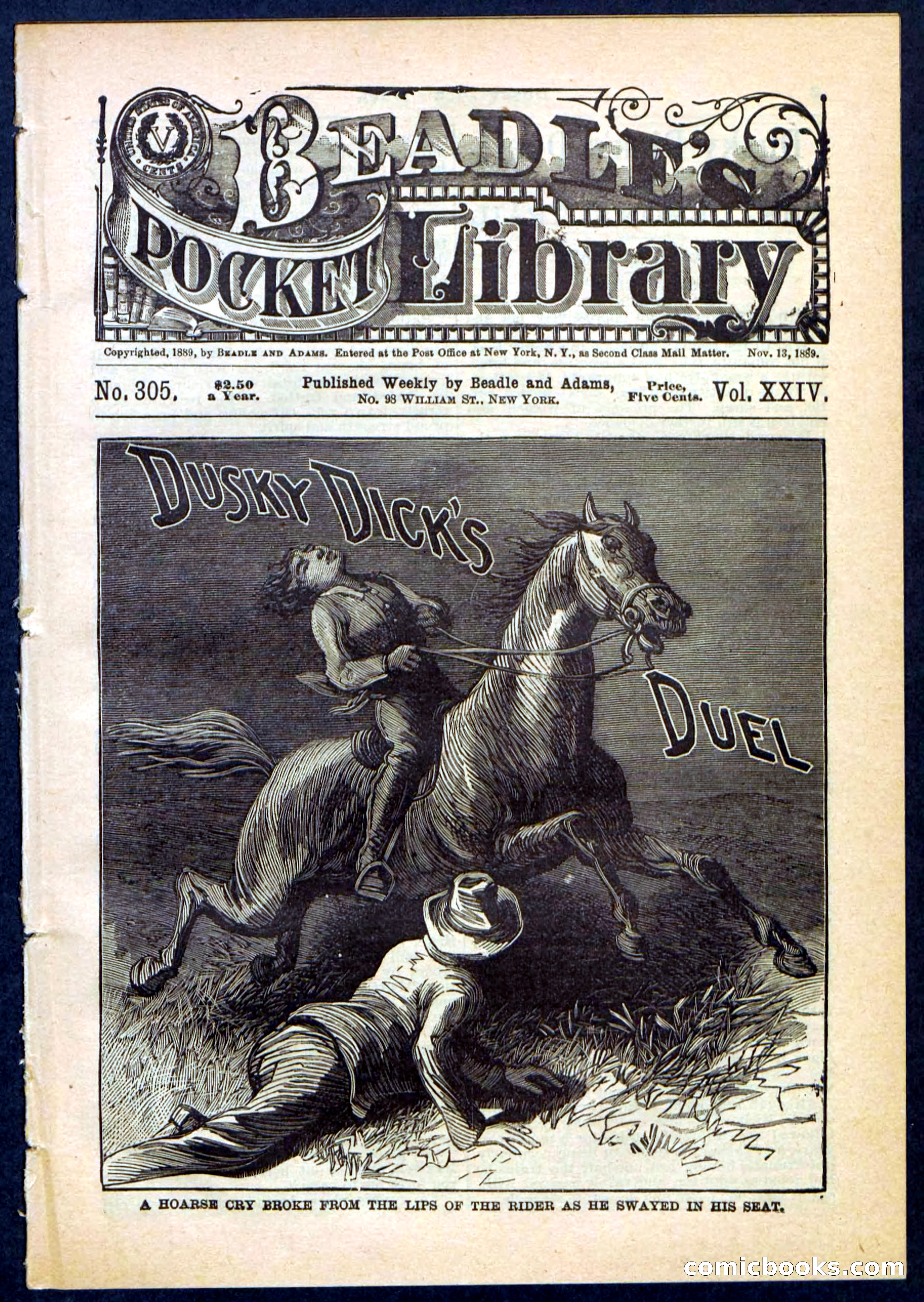 Beadle's Pocket Library No. 305 — page 1 of 32
