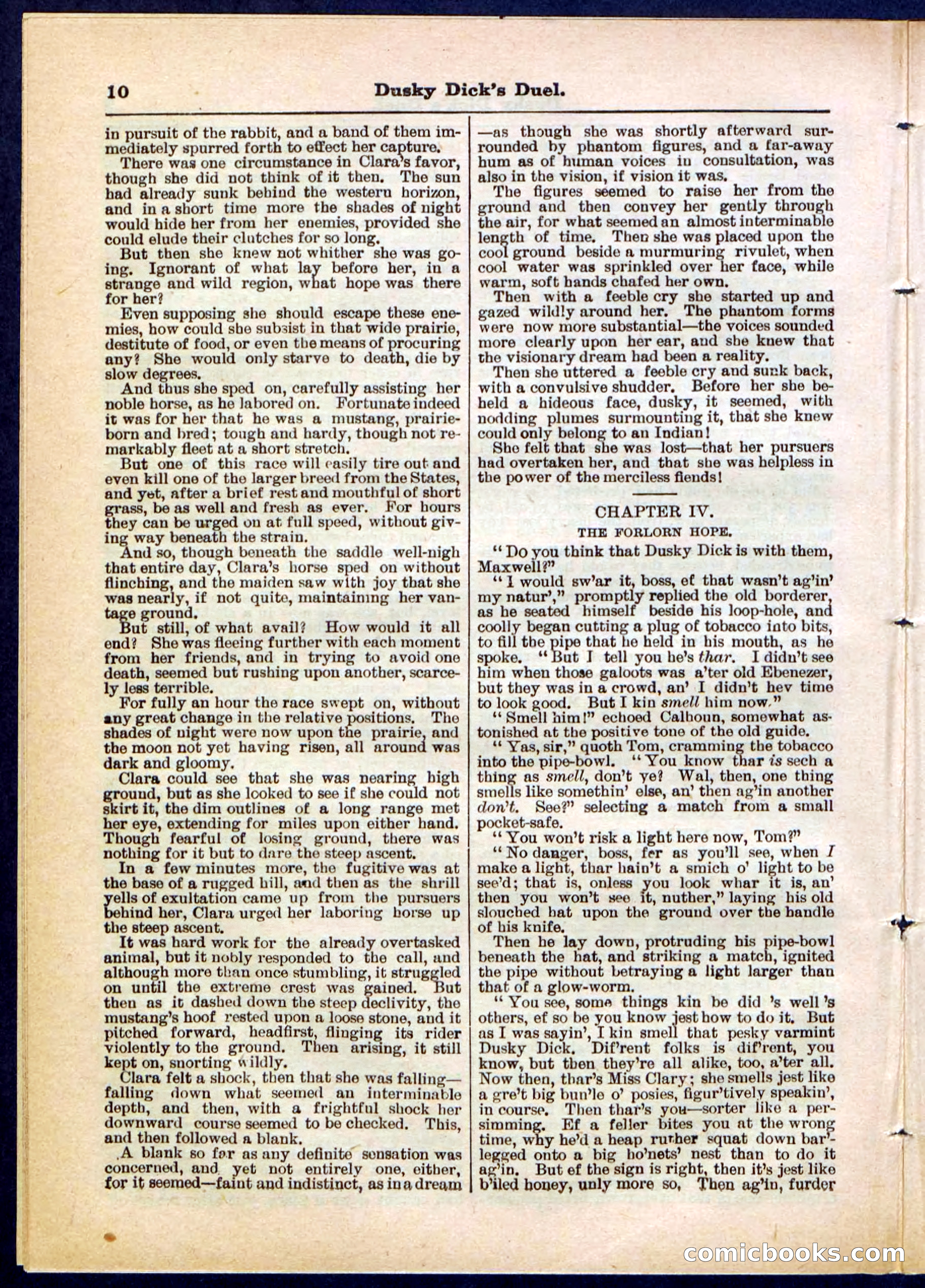 Beadle's Pocket Library No. 305 — page 10 of 32