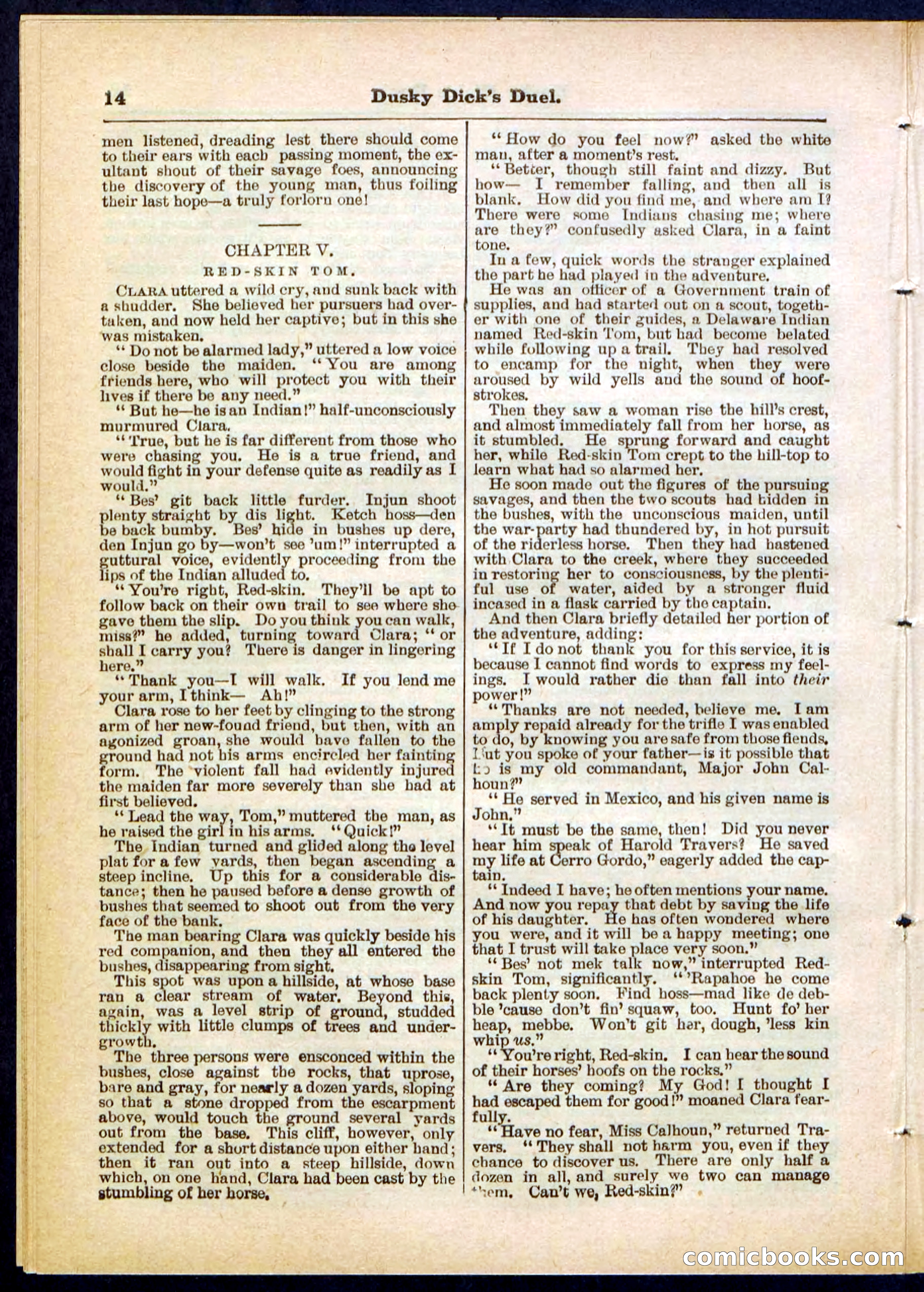 Beadle's Pocket Library No. 305 — page 14 of 32