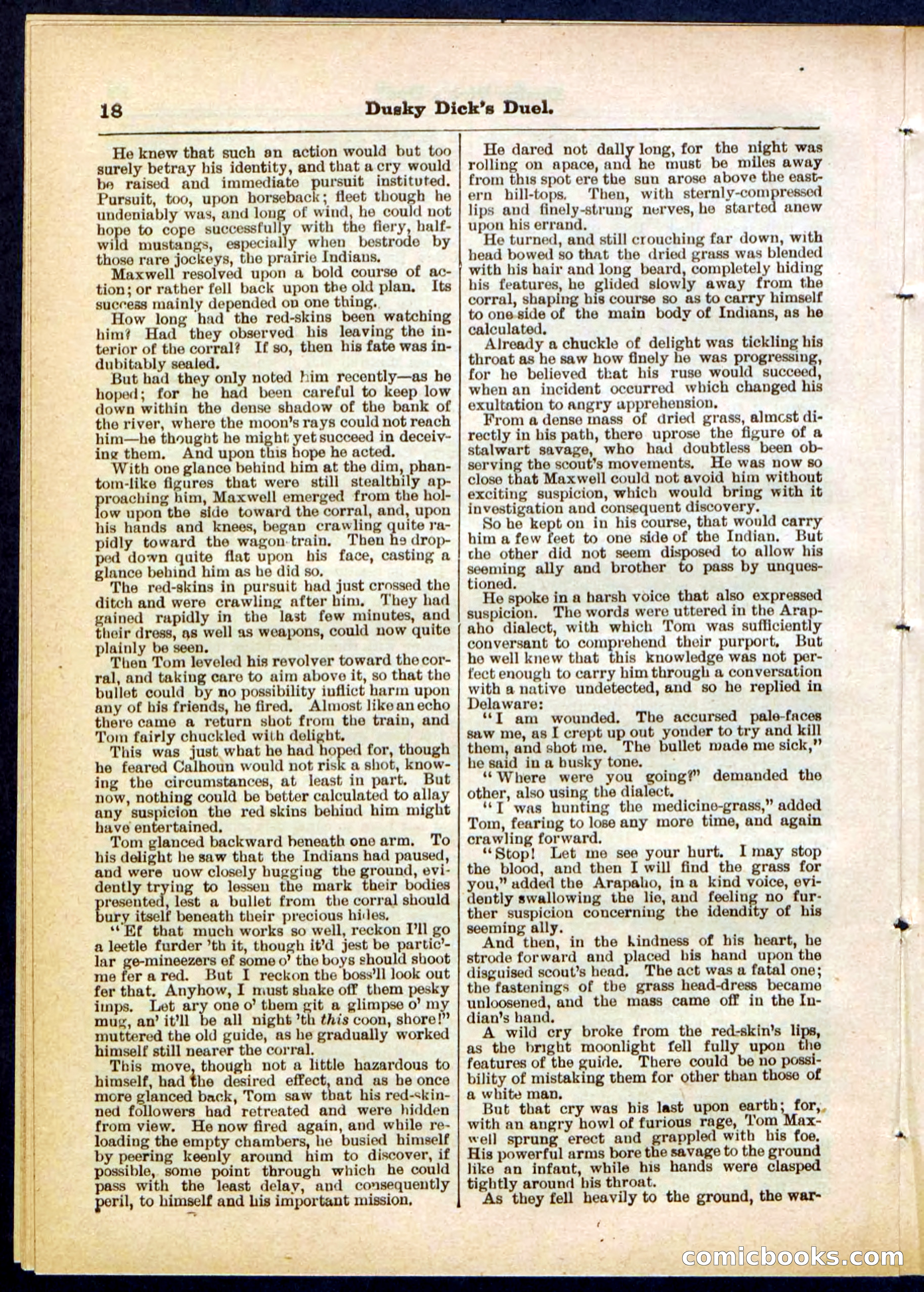Beadle's Pocket Library No. 305 — page 18 of 32