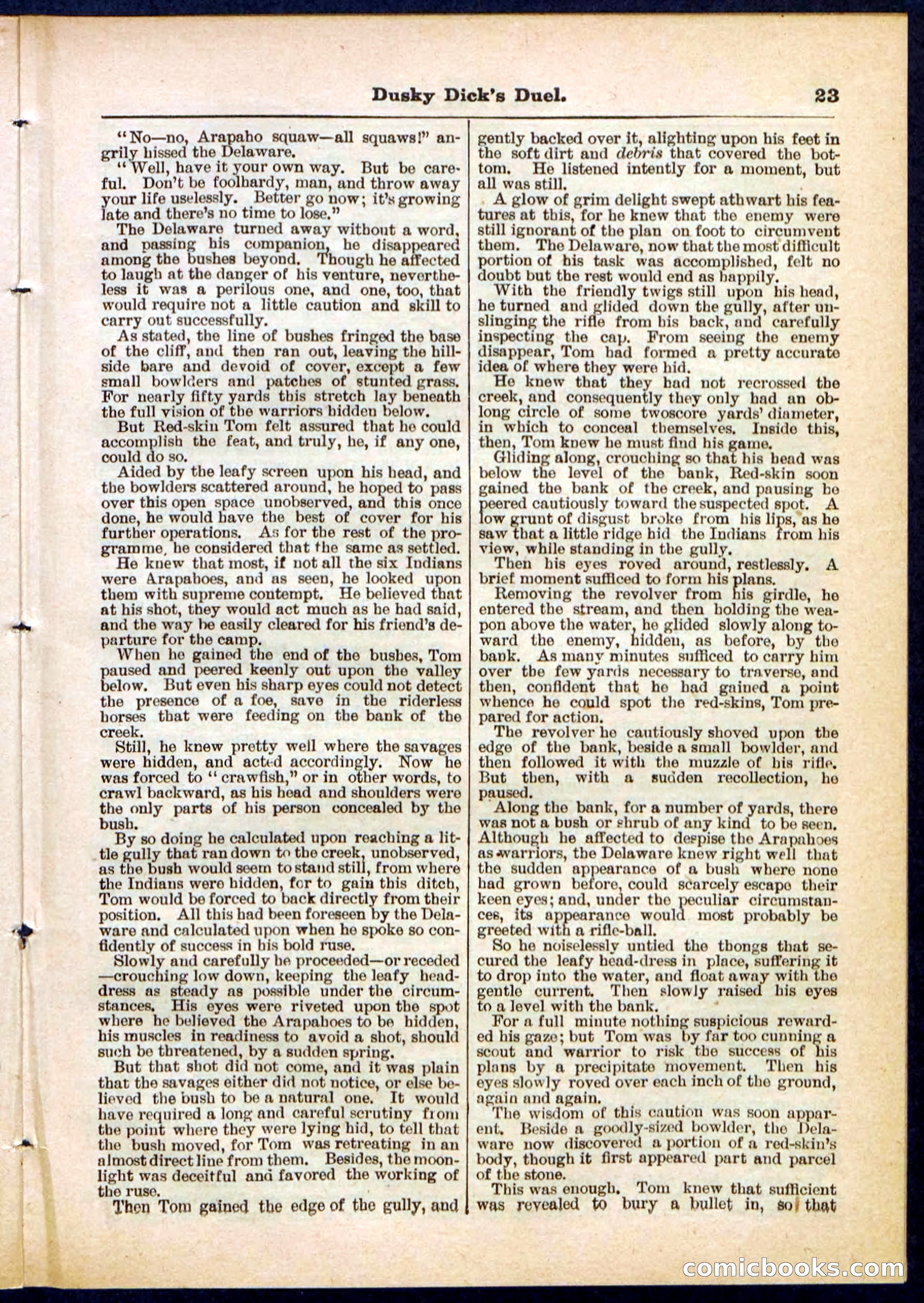 Beadle's Pocket Library No. 305 — page 23 of 32