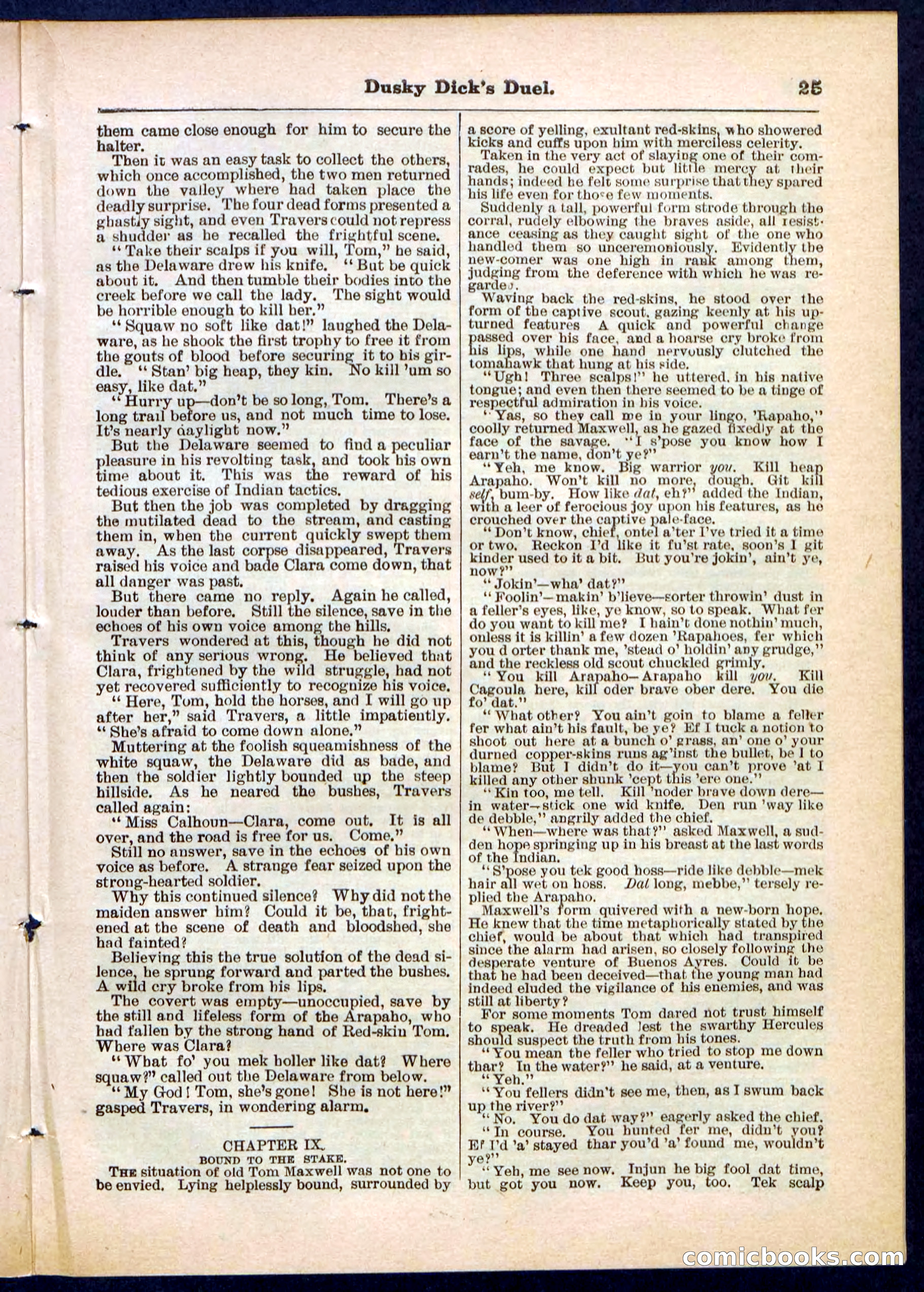 Beadle's Pocket Library No. 305 — page 25 of 32