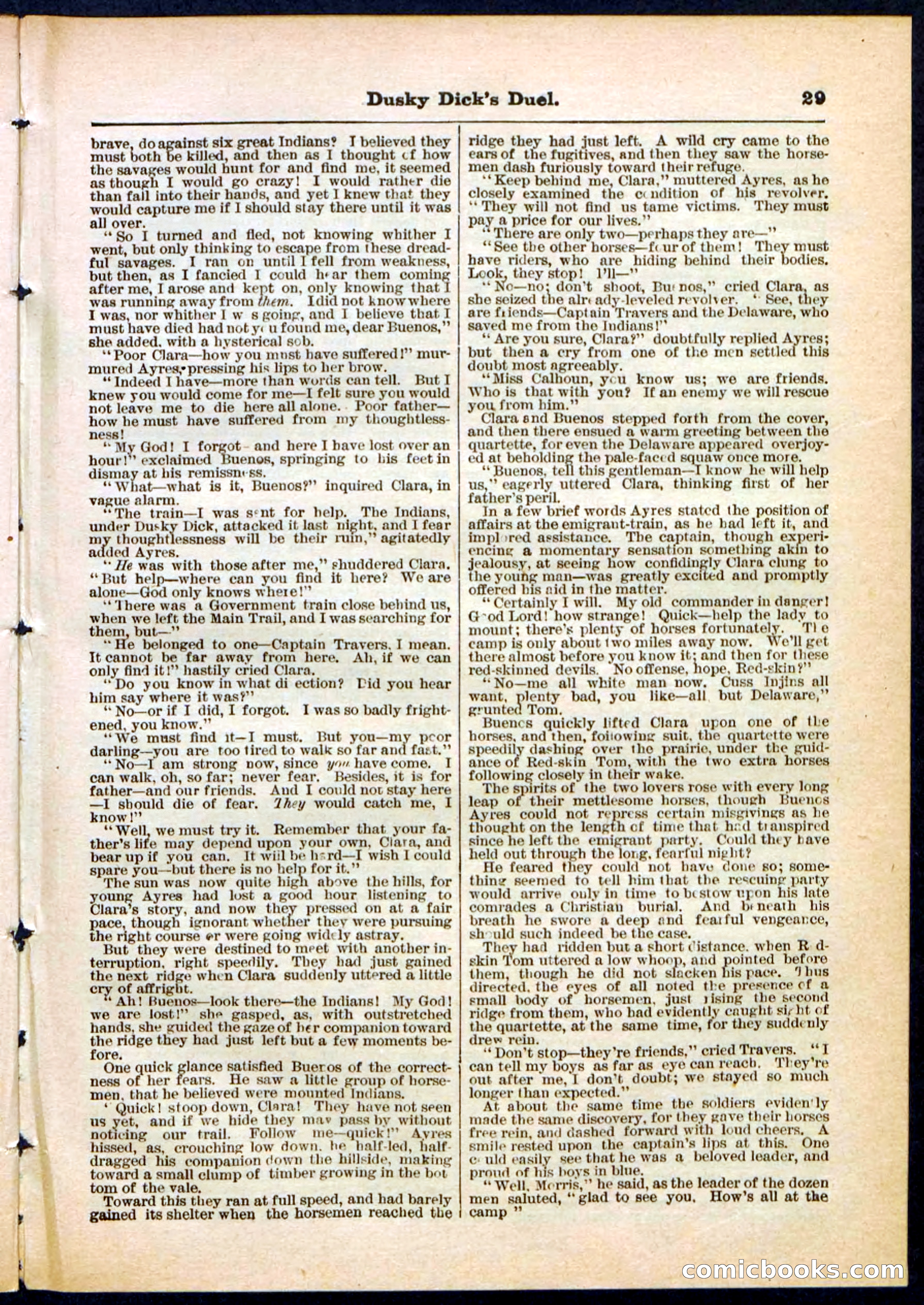 Beadle's Pocket Library No. 305 — page 29 of 32