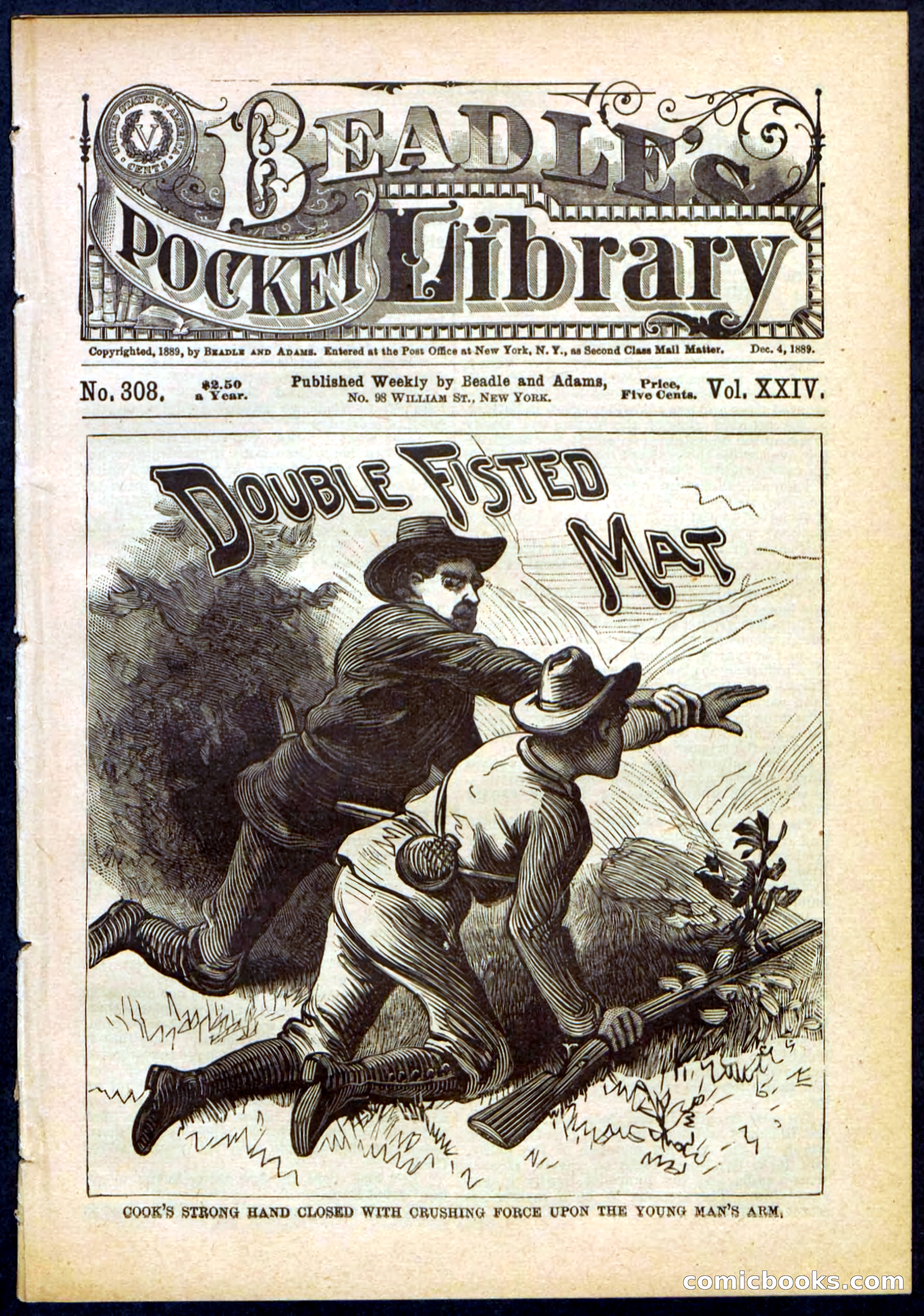 Beadle's Pocket Library, No. 308 — page 1 of 32