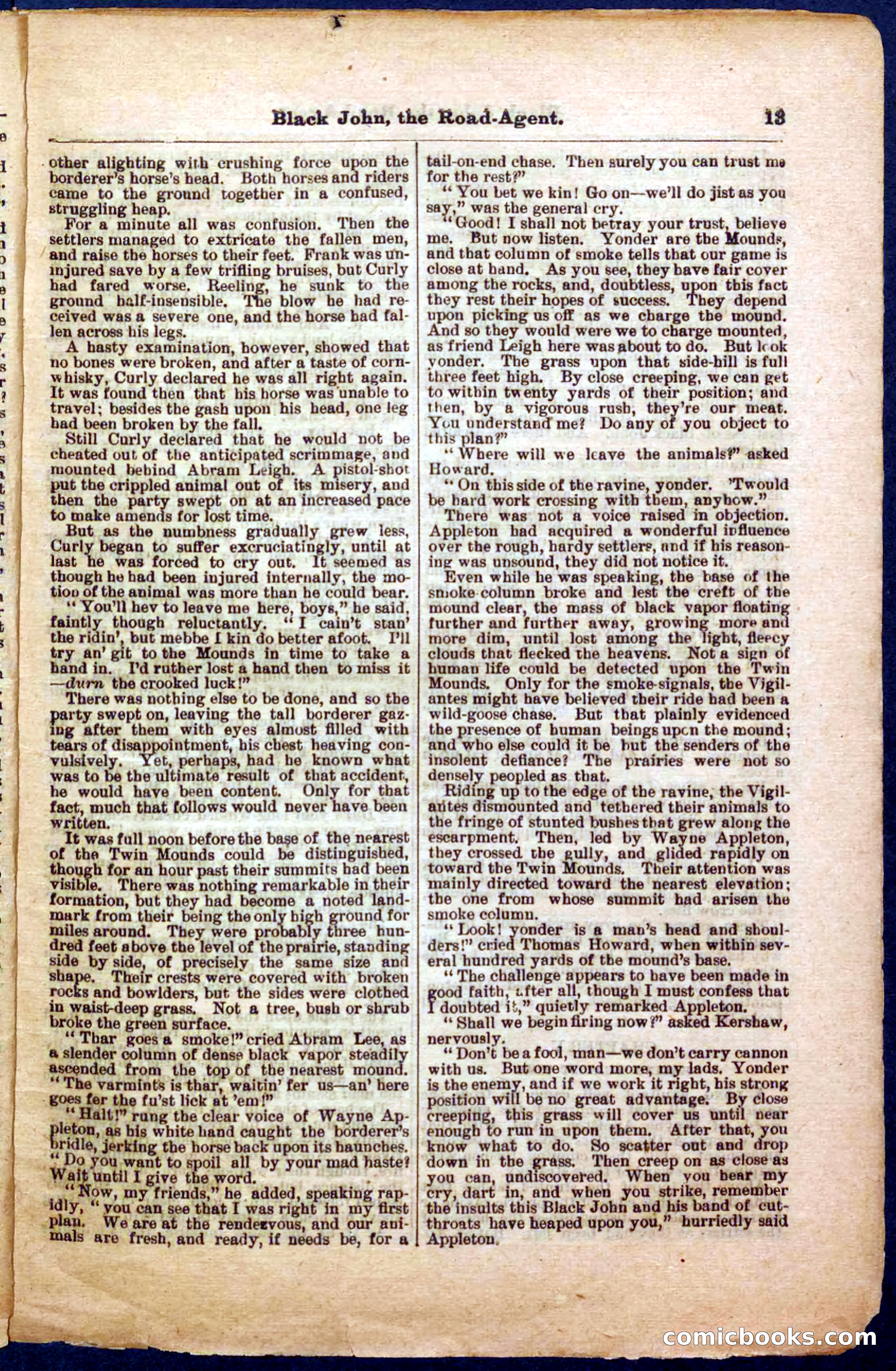Beadle's Pocket Library, Vol. III, No. 32 — page 13 of 32