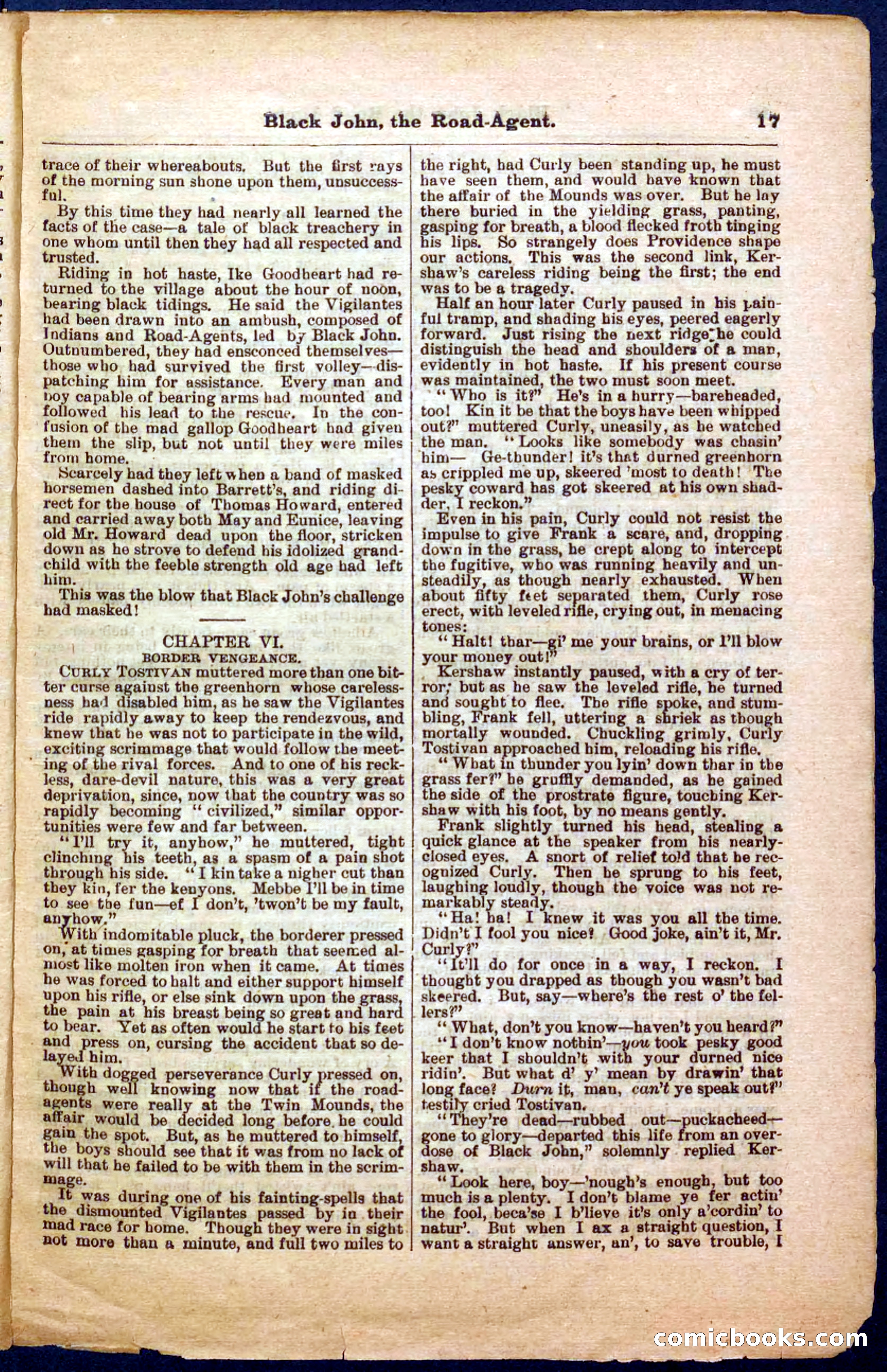 Beadle's Pocket Library, Vol. III, No. 32 — page 17 of 32