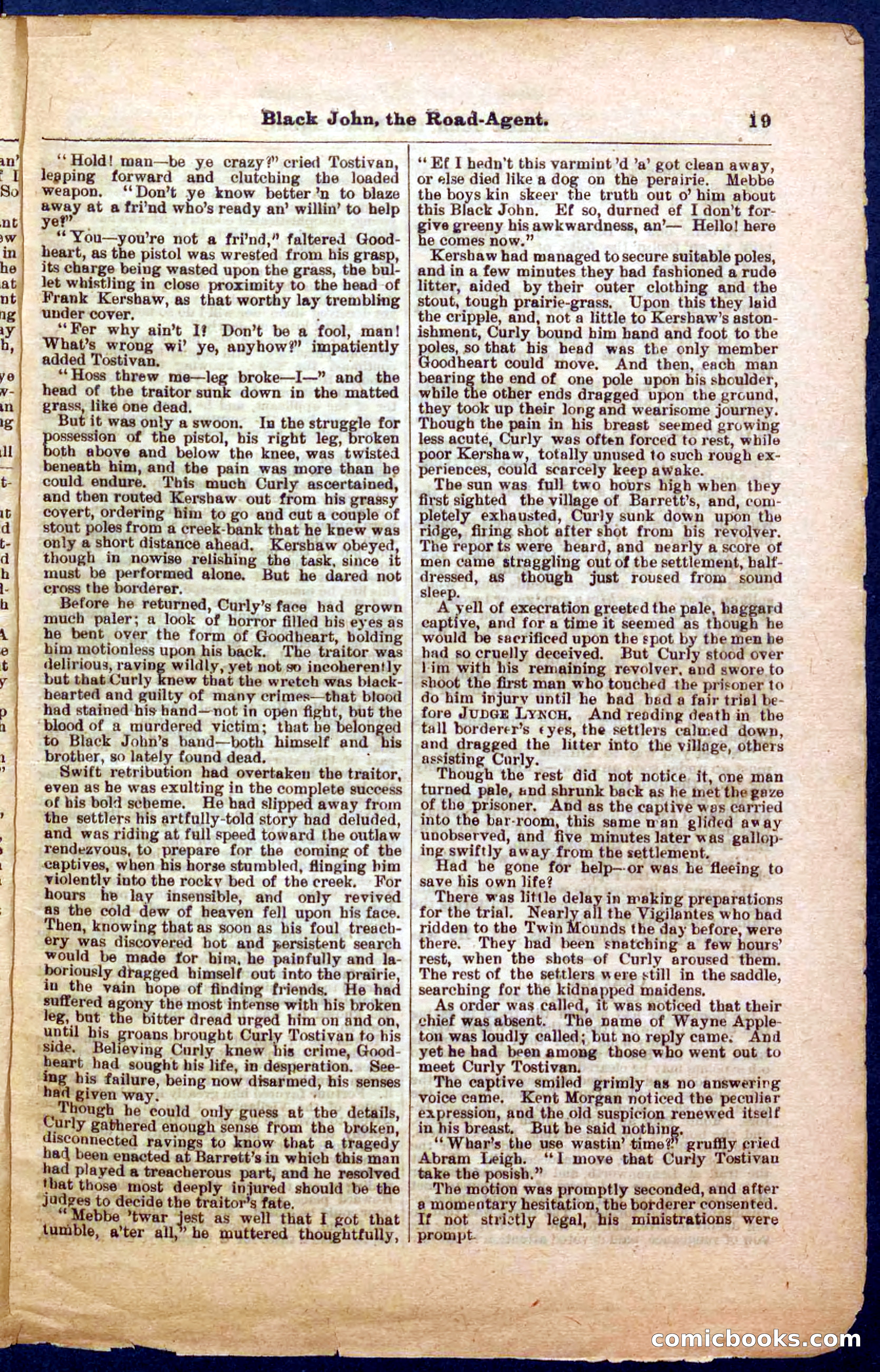 Beadle's Pocket Library, Vol. III, No. 32 — page 19 of 32