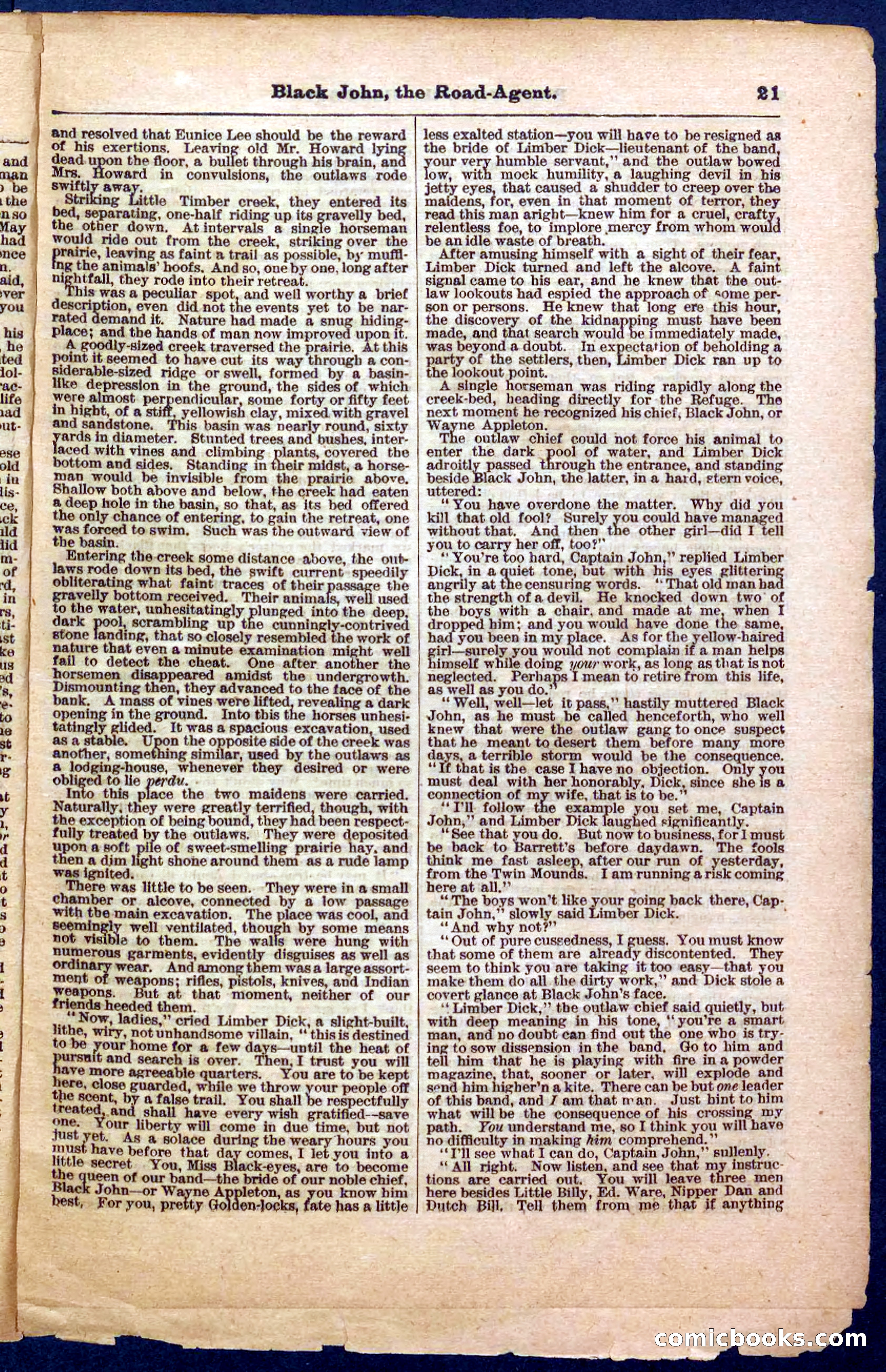 Beadle's Pocket Library, Vol. III, No. 32 — page 21 of 32