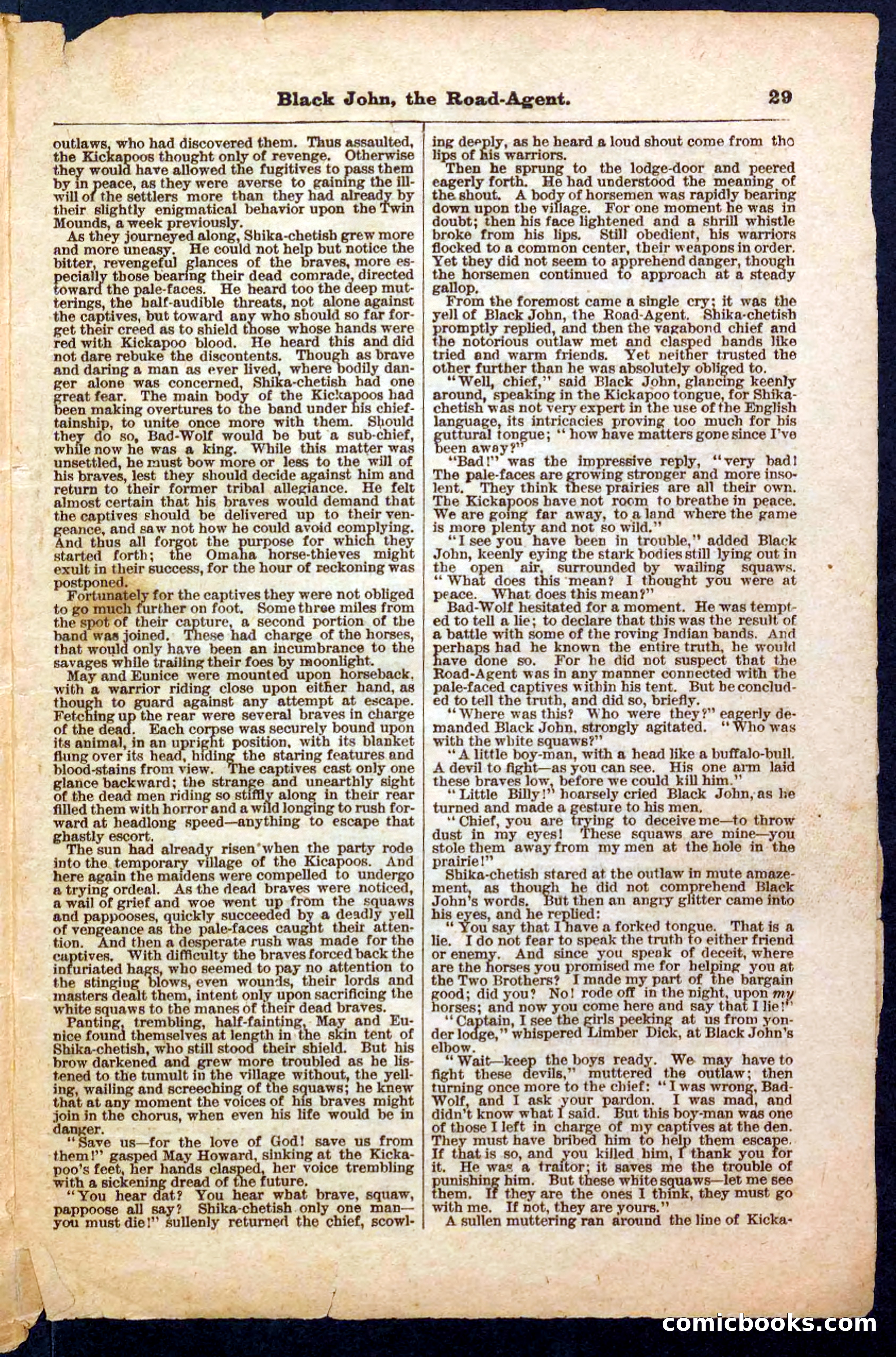 Beadle's Pocket Library, Vol. III, No. 32 — page 29 of 32