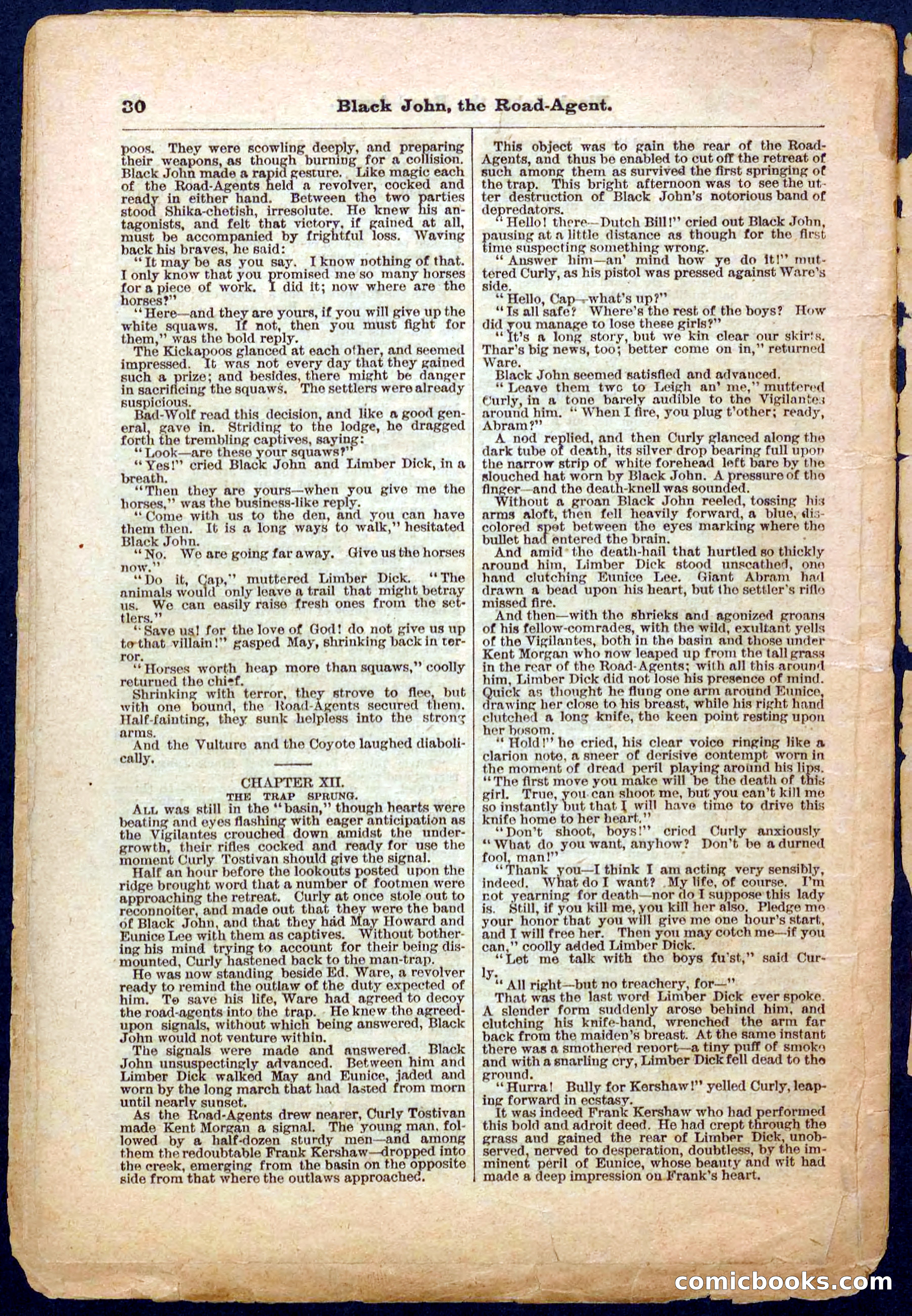 Beadle's Pocket Library, Vol. III, No. 32 — page 30 of 32