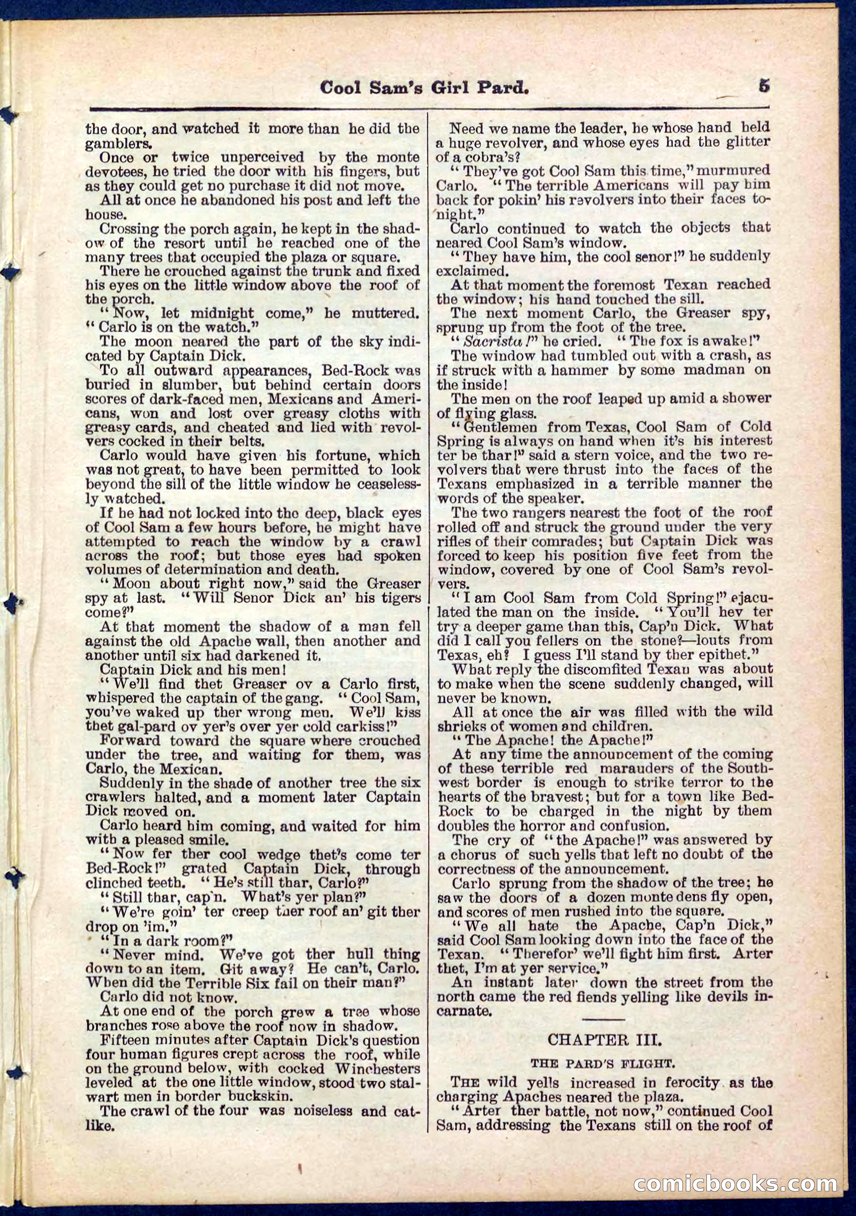Beadle's Pocket Library No. 320 — page 5 of 32