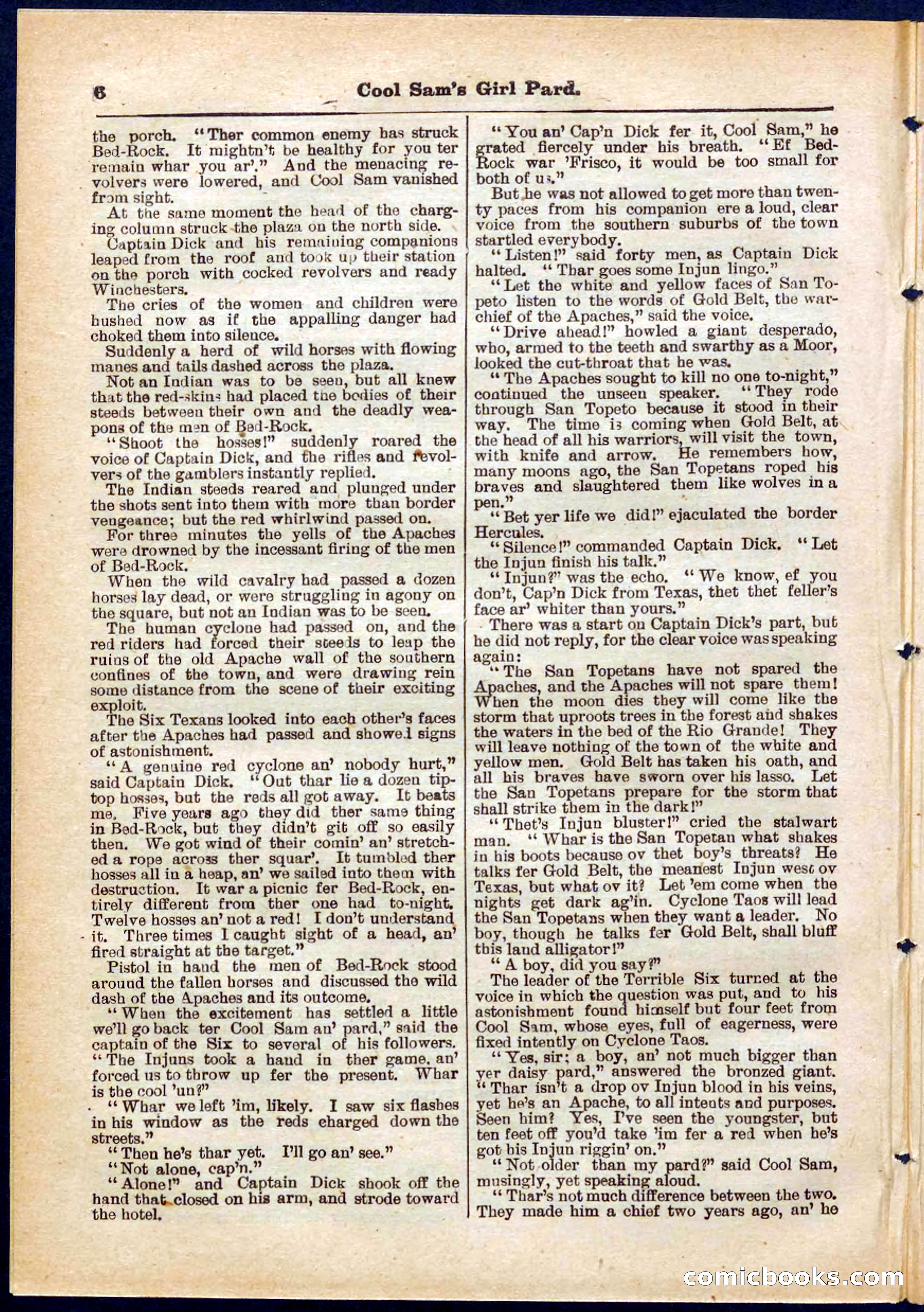 Beadle's Pocket Library No. 320 — page 6 of 32