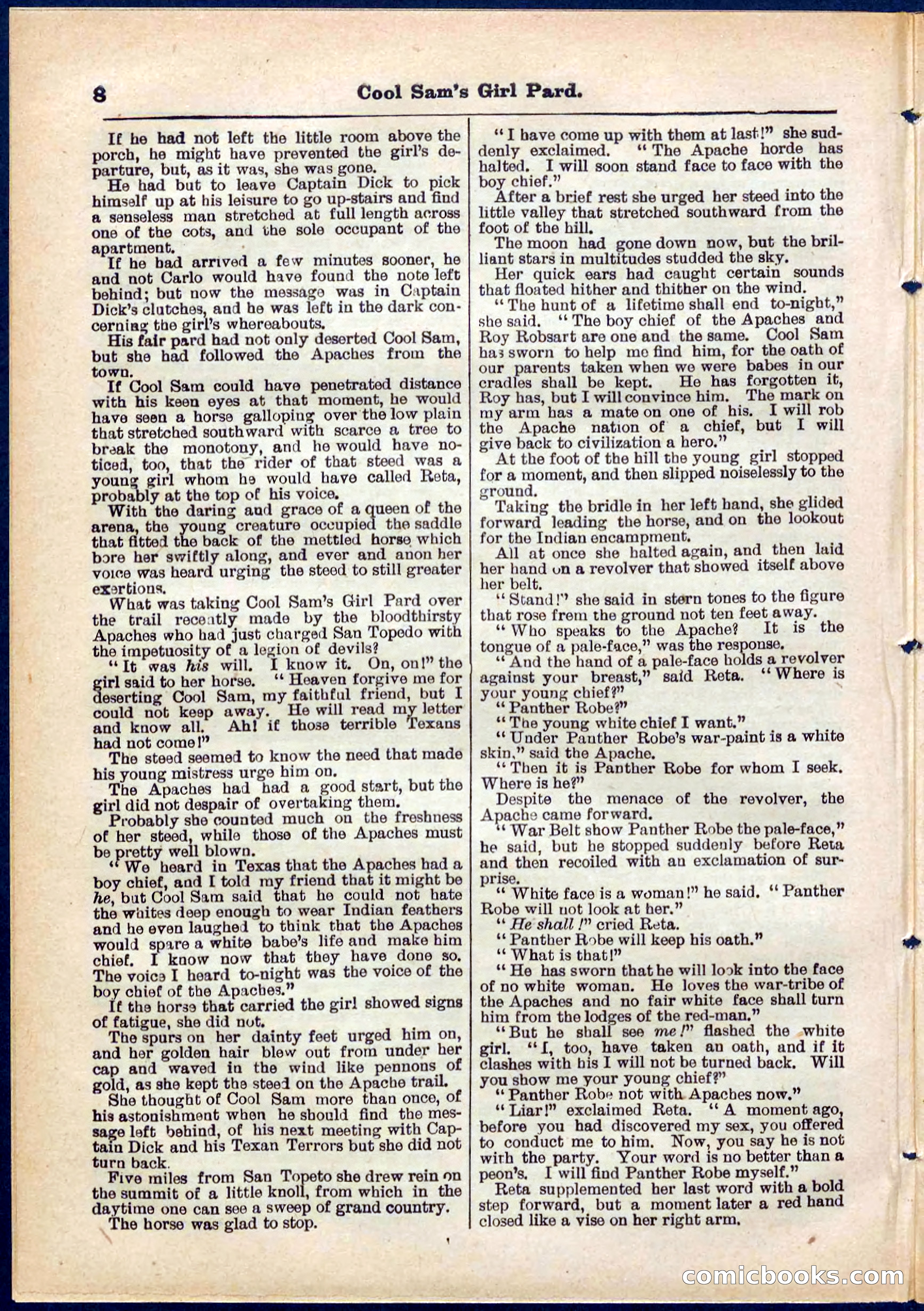 Beadle's Pocket Library No. 320 — page 8 of 32