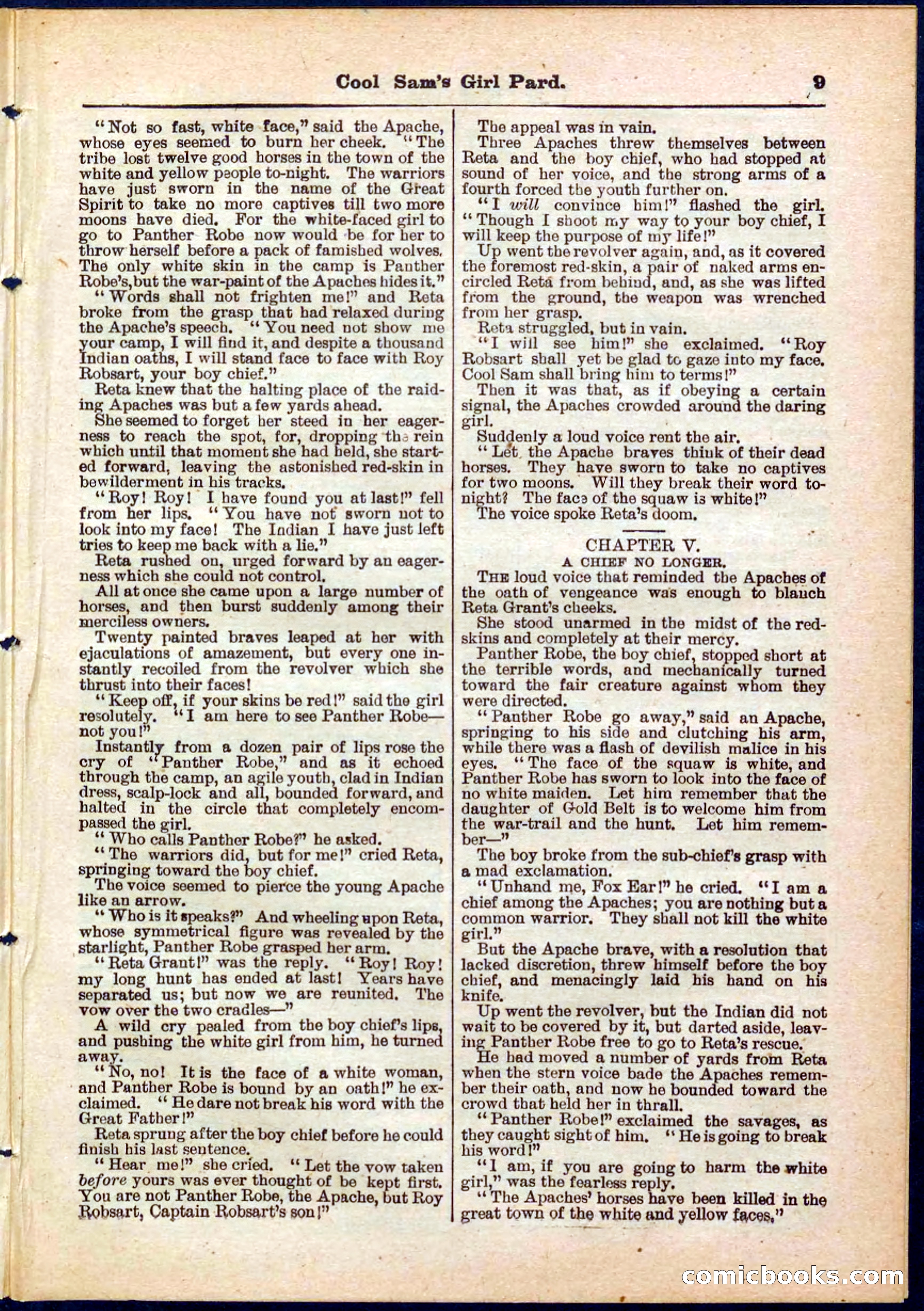 Beadle's Pocket Library No. 320 — page 9 of 32
