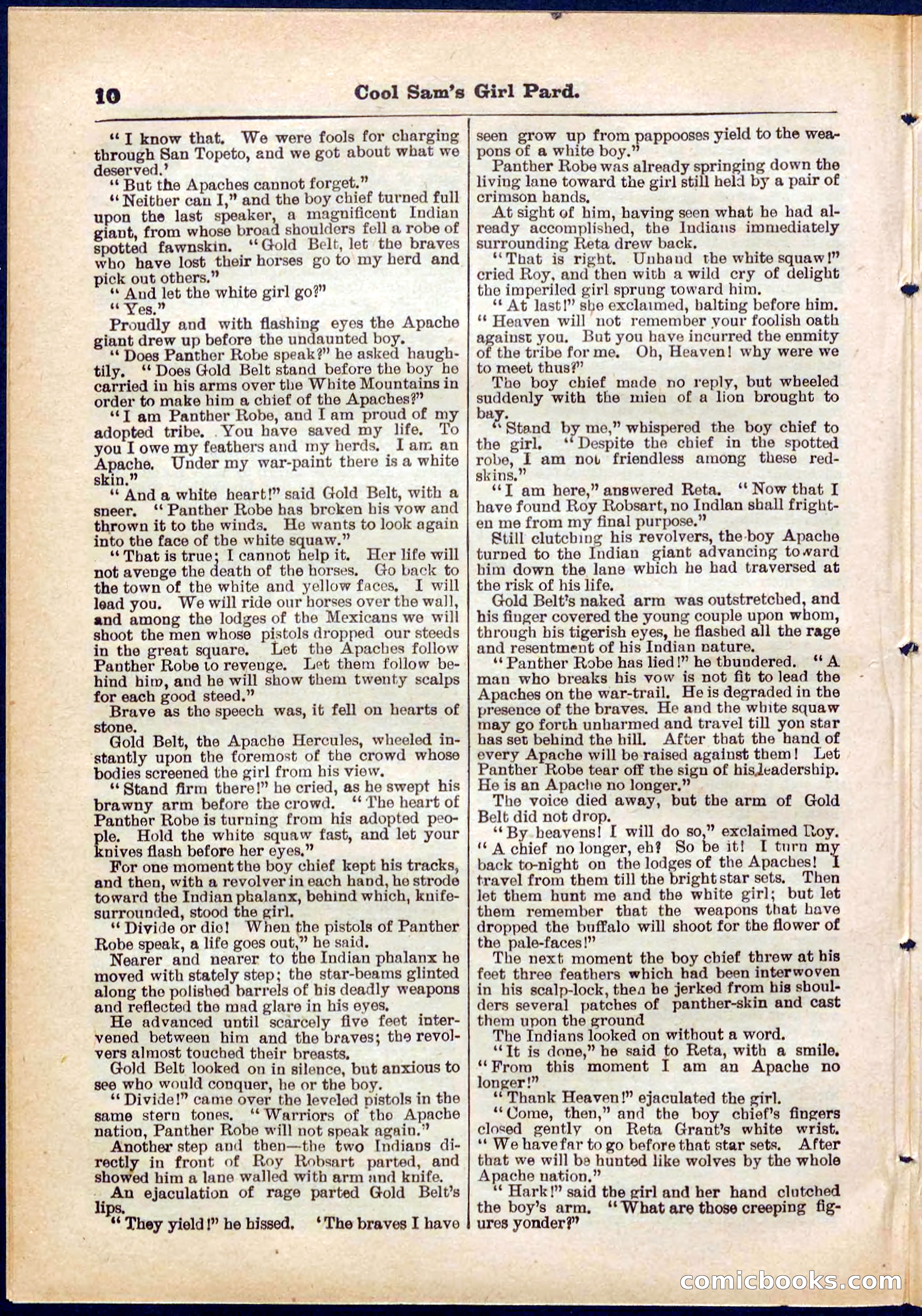 Beadle's Pocket Library No. 320 — page 10 of 32