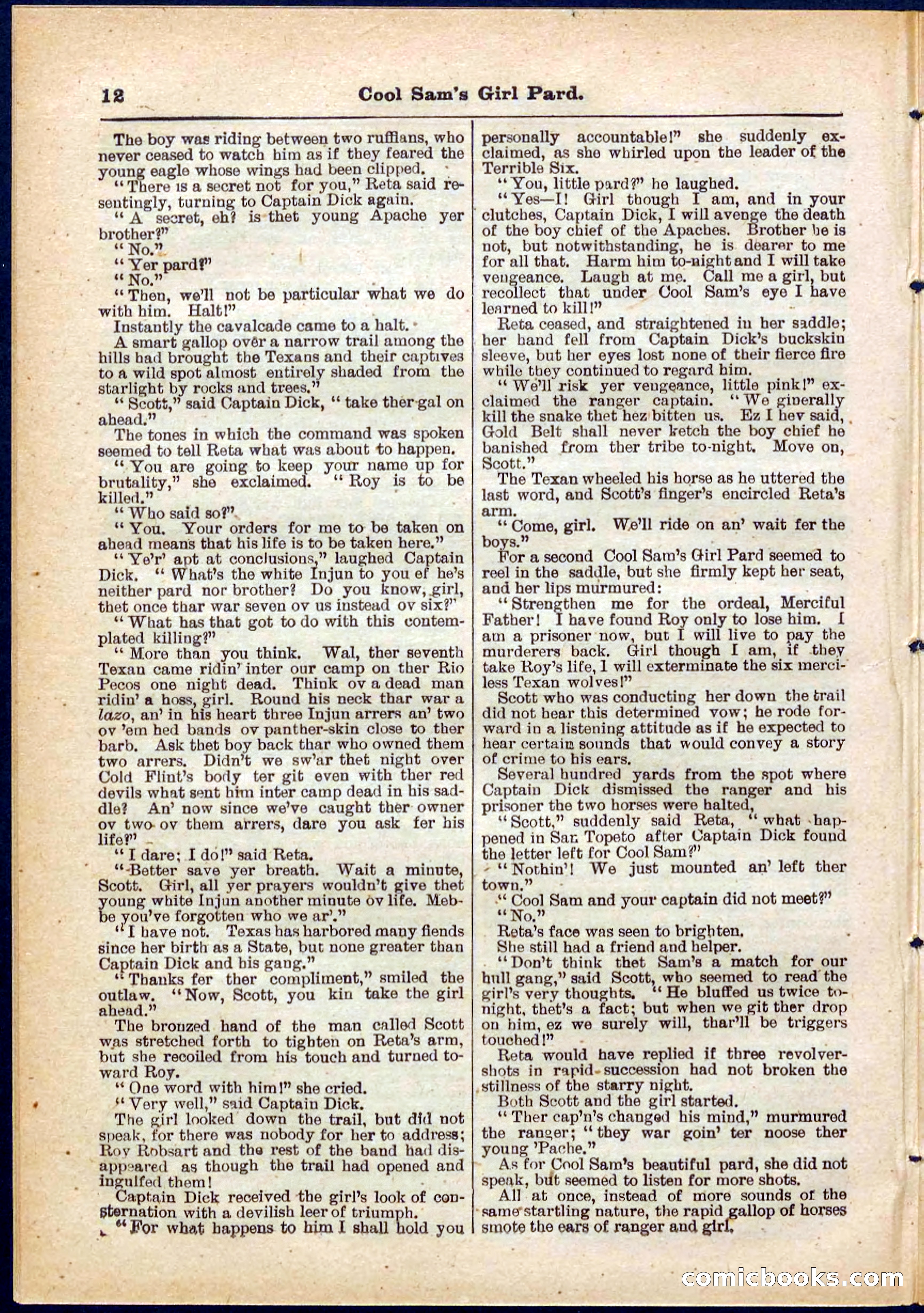 Beadle's Pocket Library No. 320 — page 12 of 32