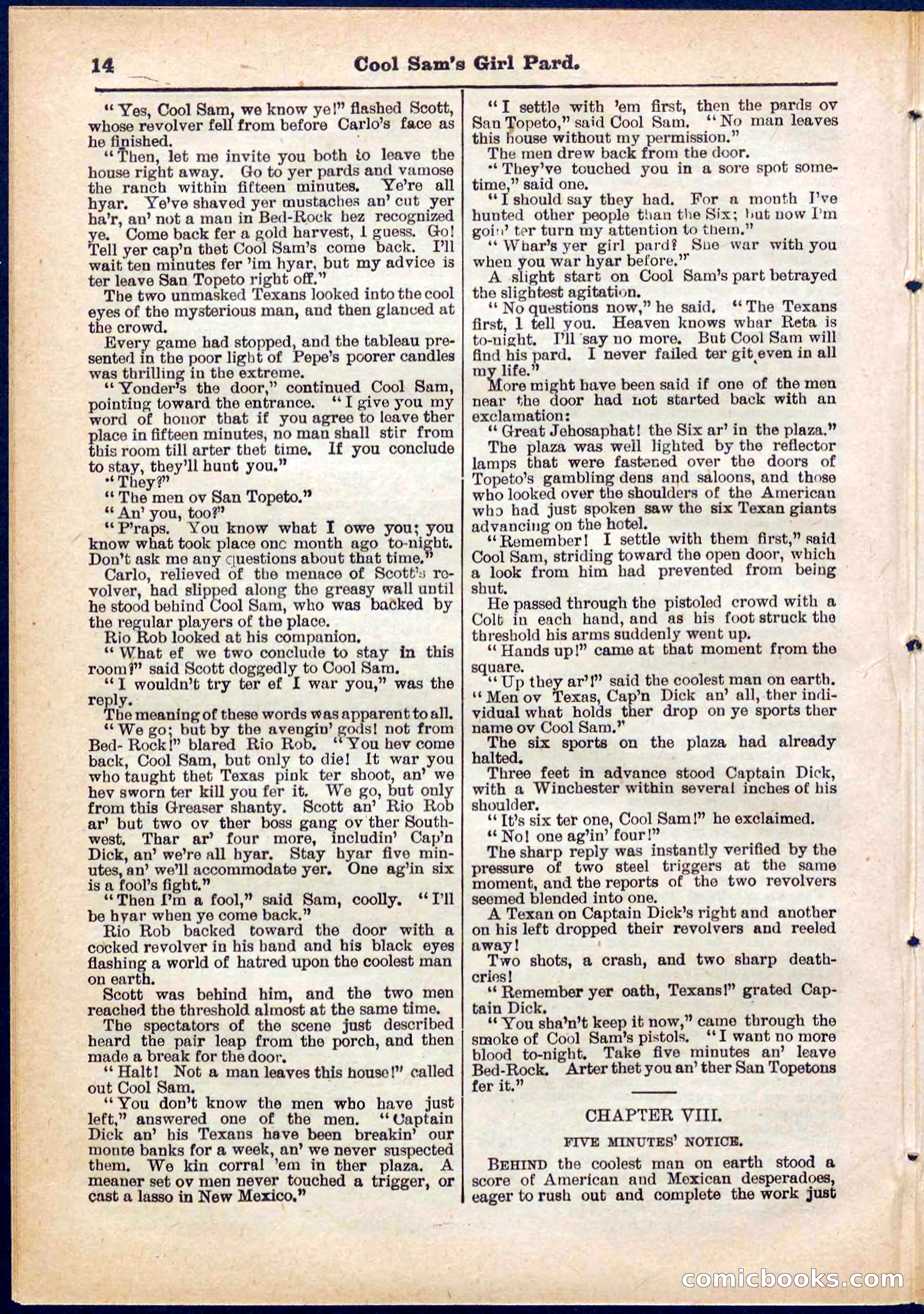 Beadle's Pocket Library No. 320 — page 14 of 32