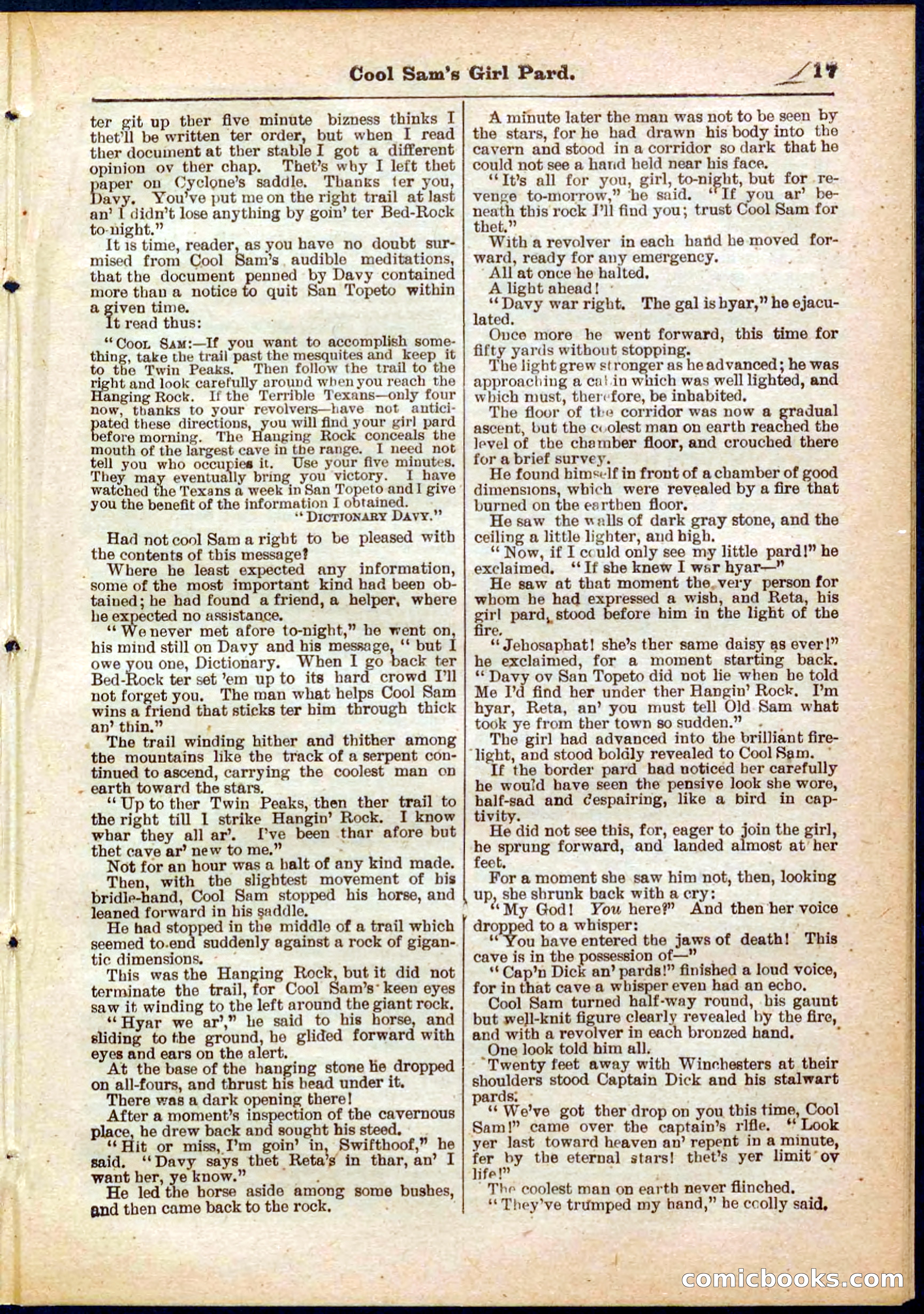Beadle's Pocket Library No. 320 — page 17 of 32