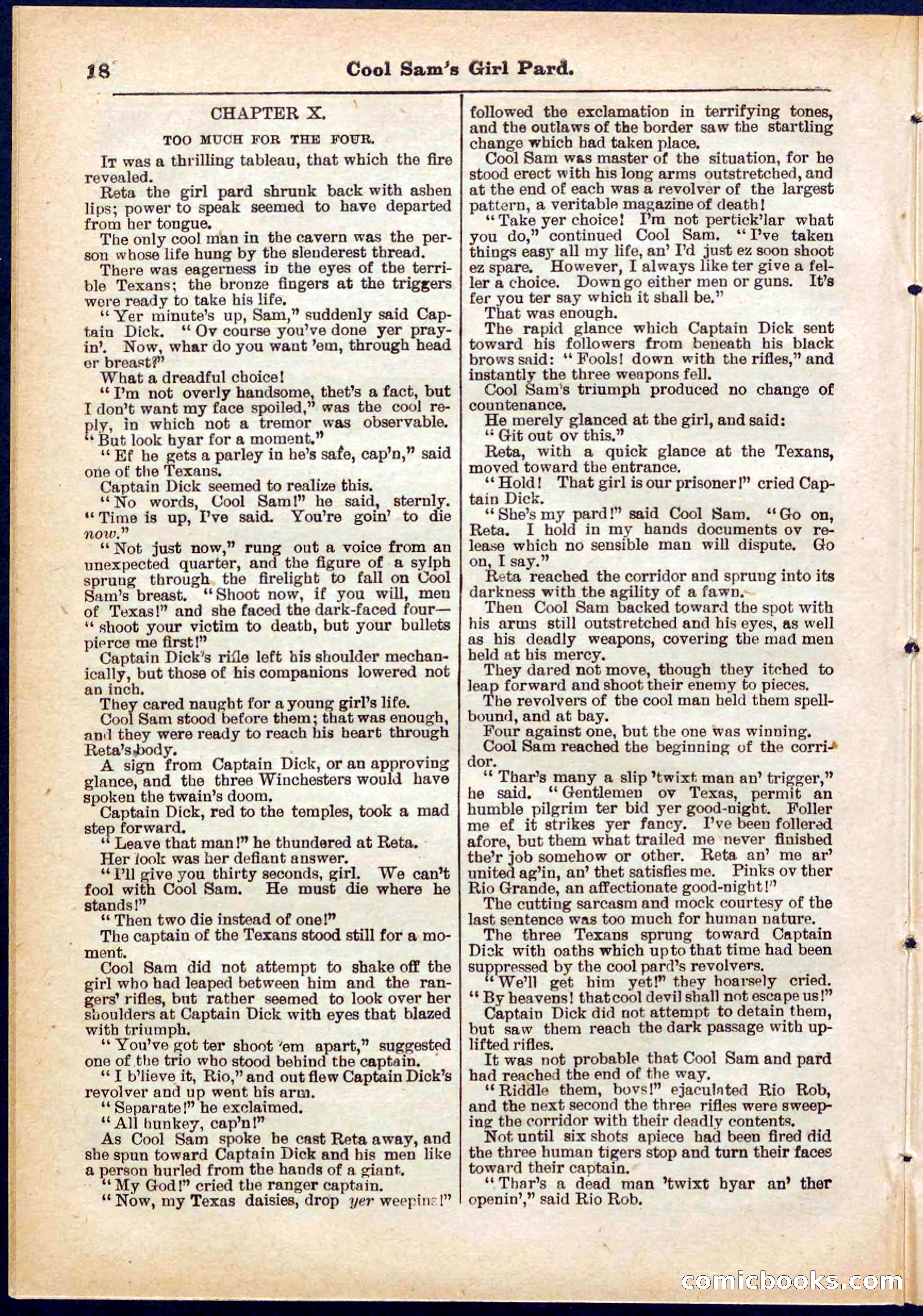 Beadle's Pocket Library No. 320 — page 18 of 32