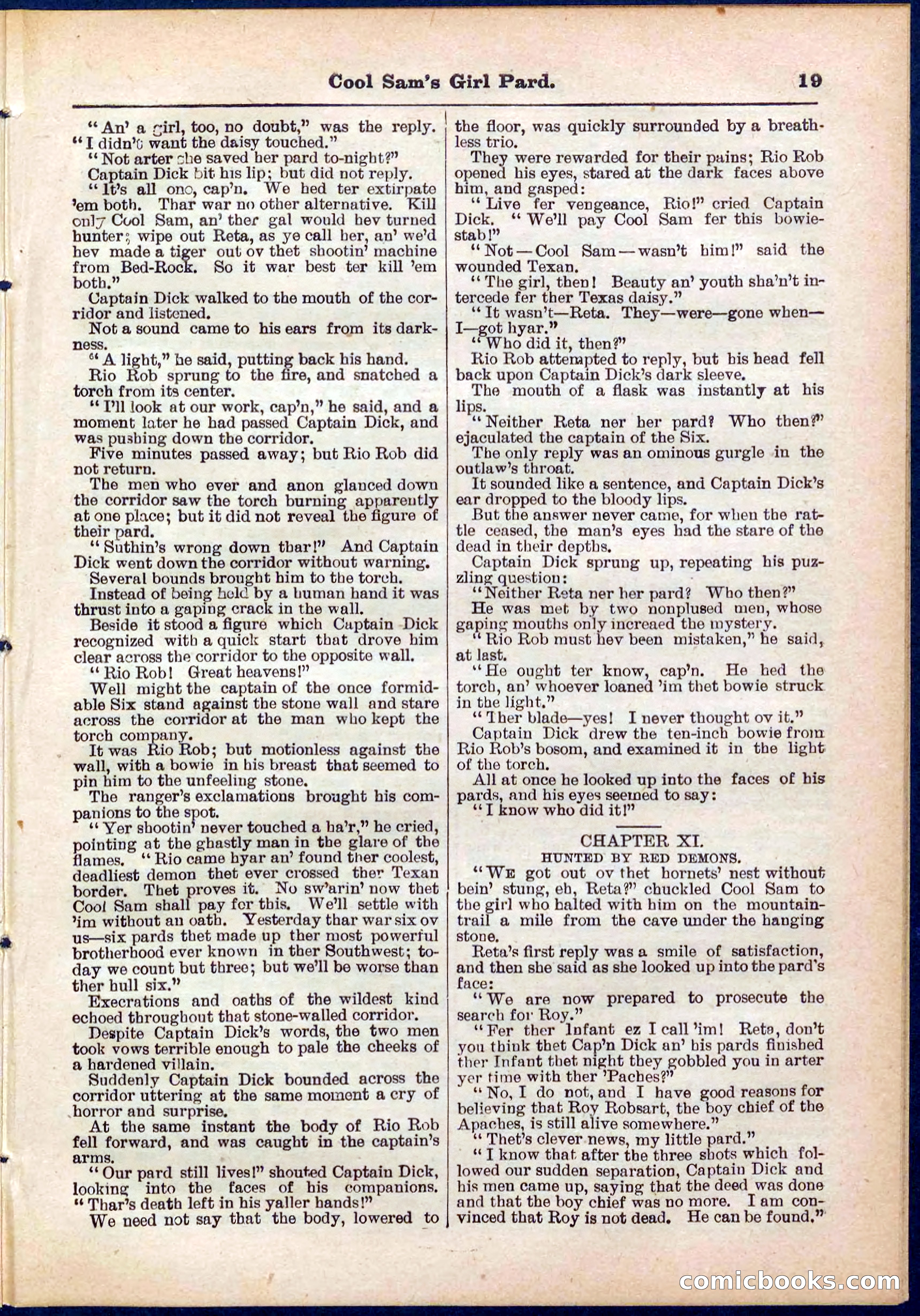Beadle's Pocket Library No. 320 — page 19 of 32