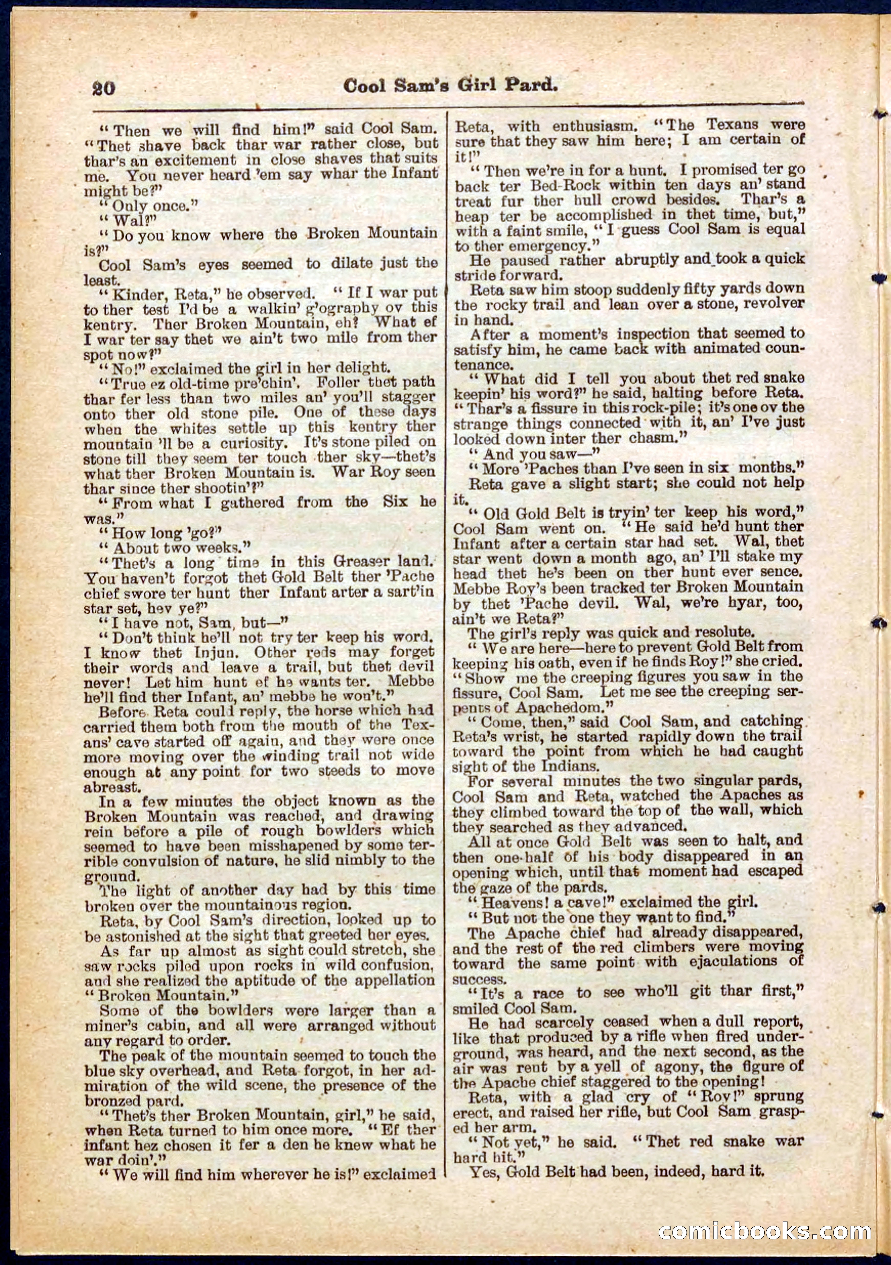 Beadle's Pocket Library No. 320 — page 20 of 32