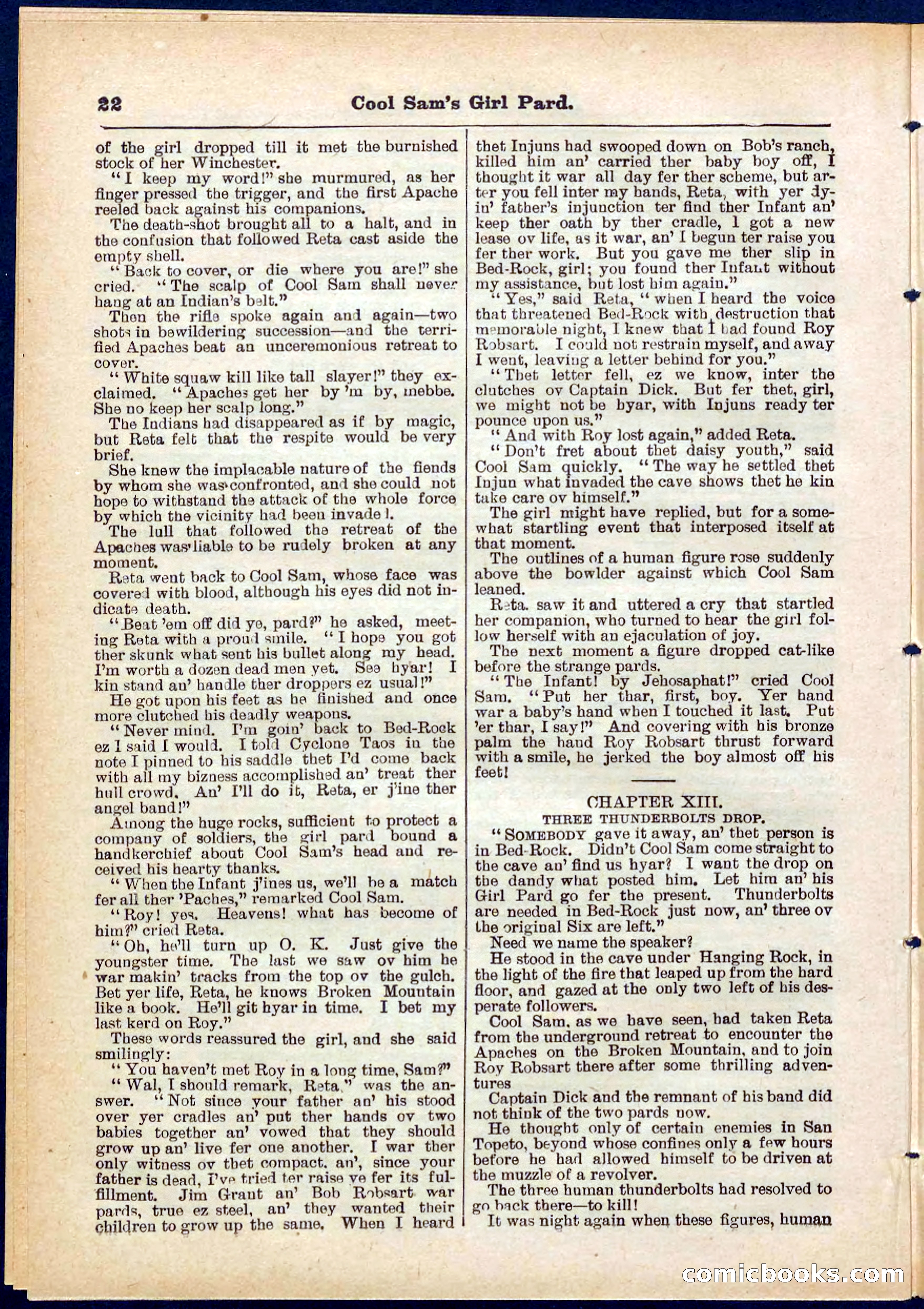 Beadle's Pocket Library No. 320 — page 22 of 32