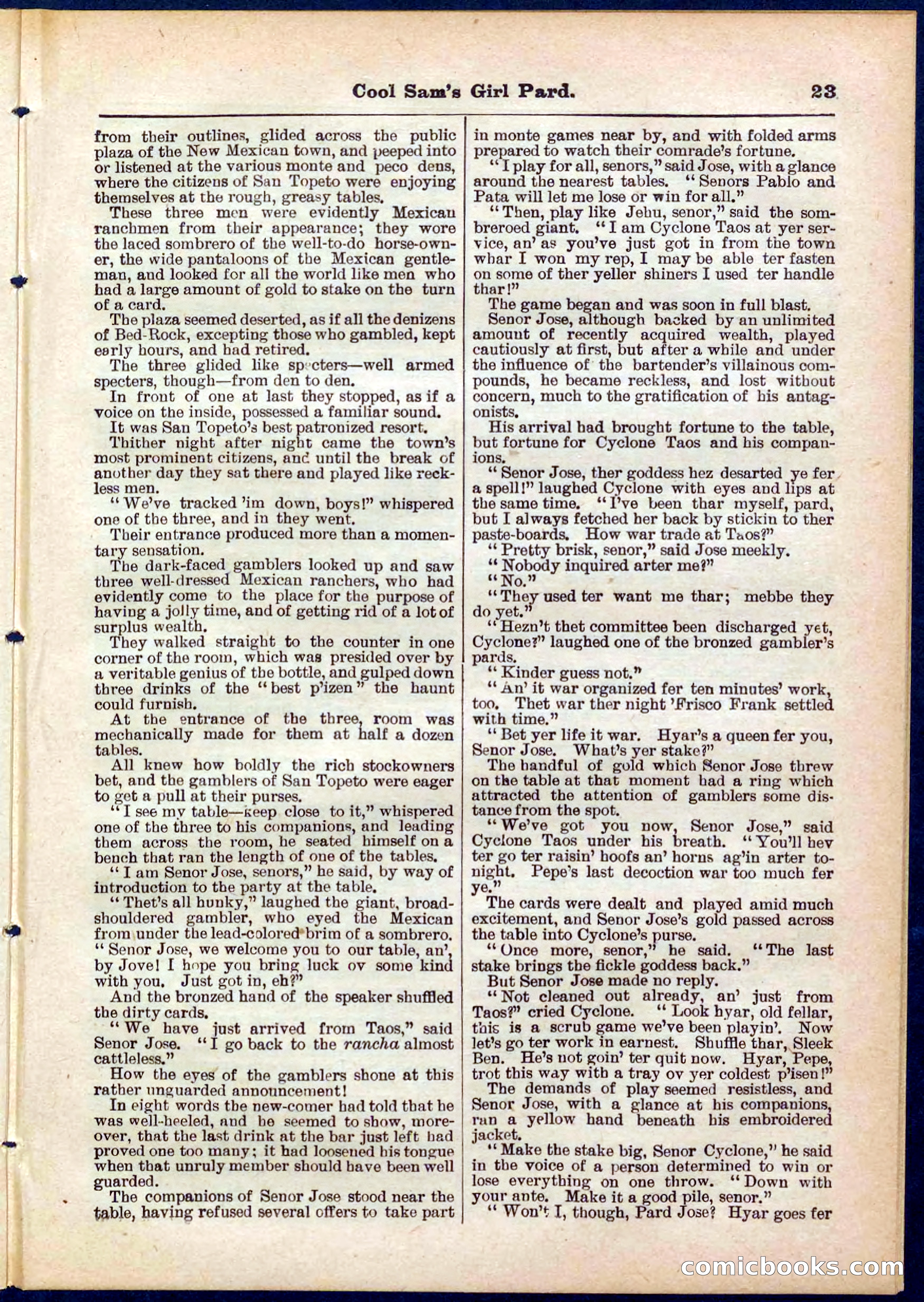 Beadle's Pocket Library No. 320 — page 23 of 32