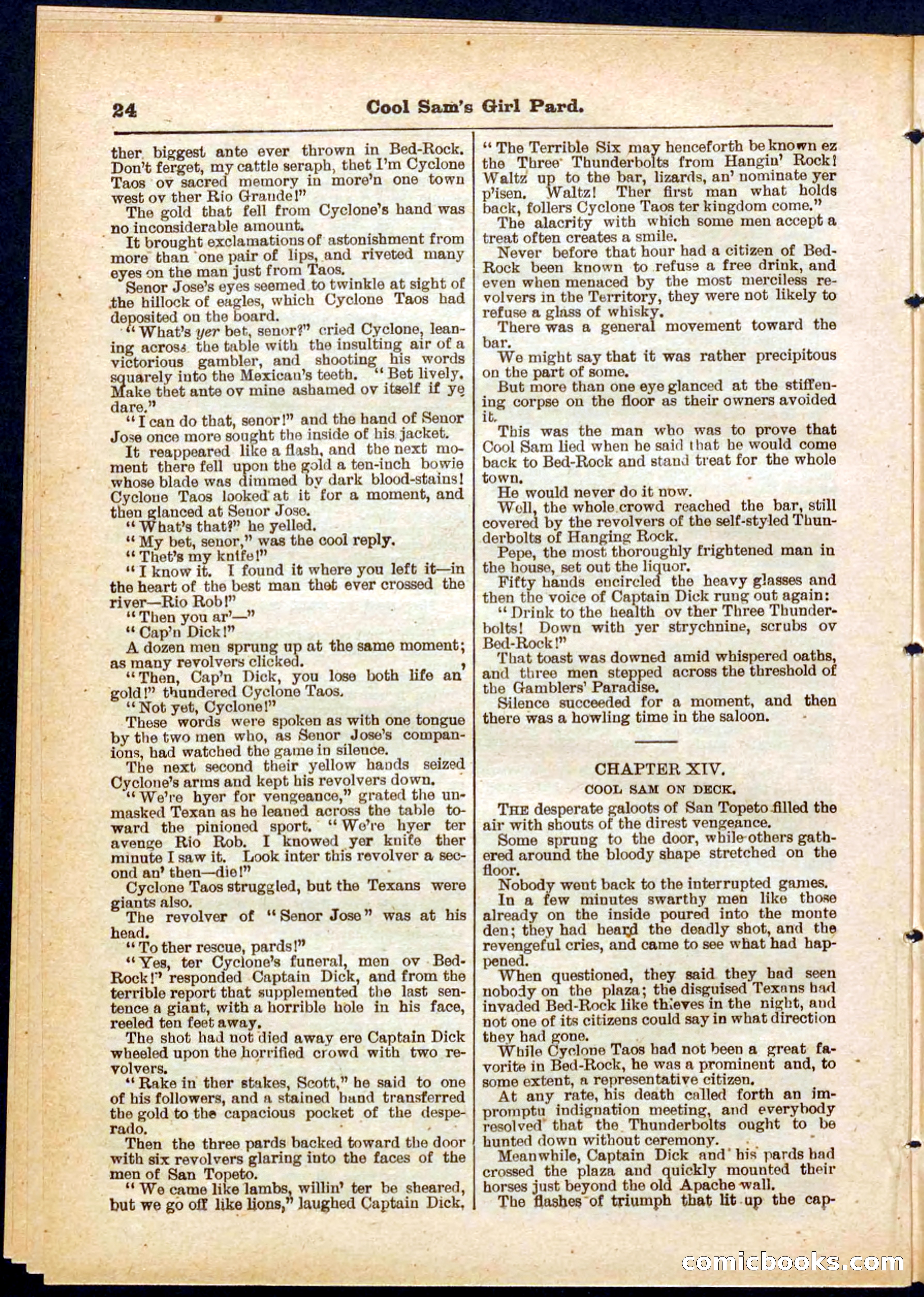 Beadle's Pocket Library No. 320 — page 24 of 32