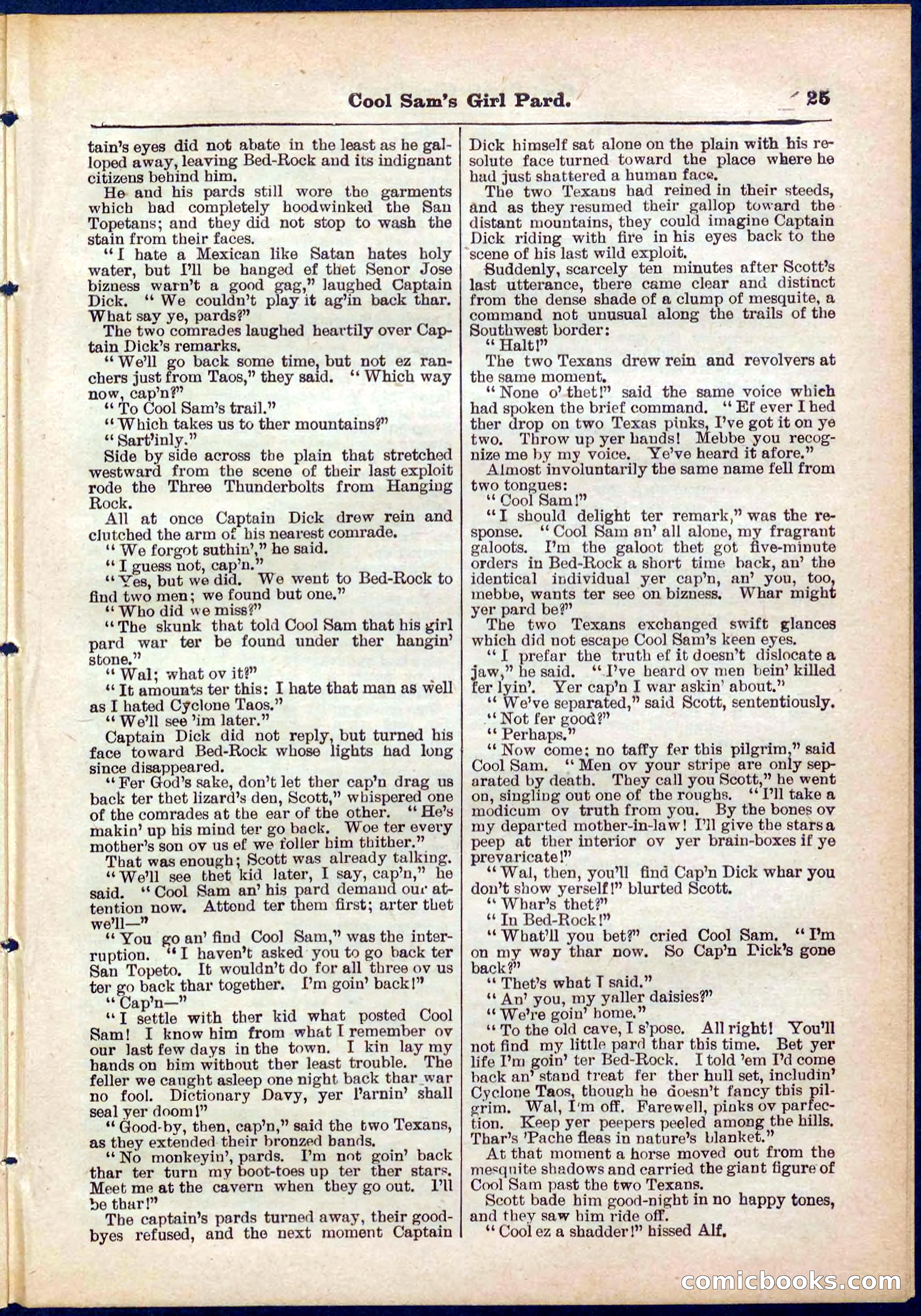 Beadle's Pocket Library No. 320 — page 25 of 32