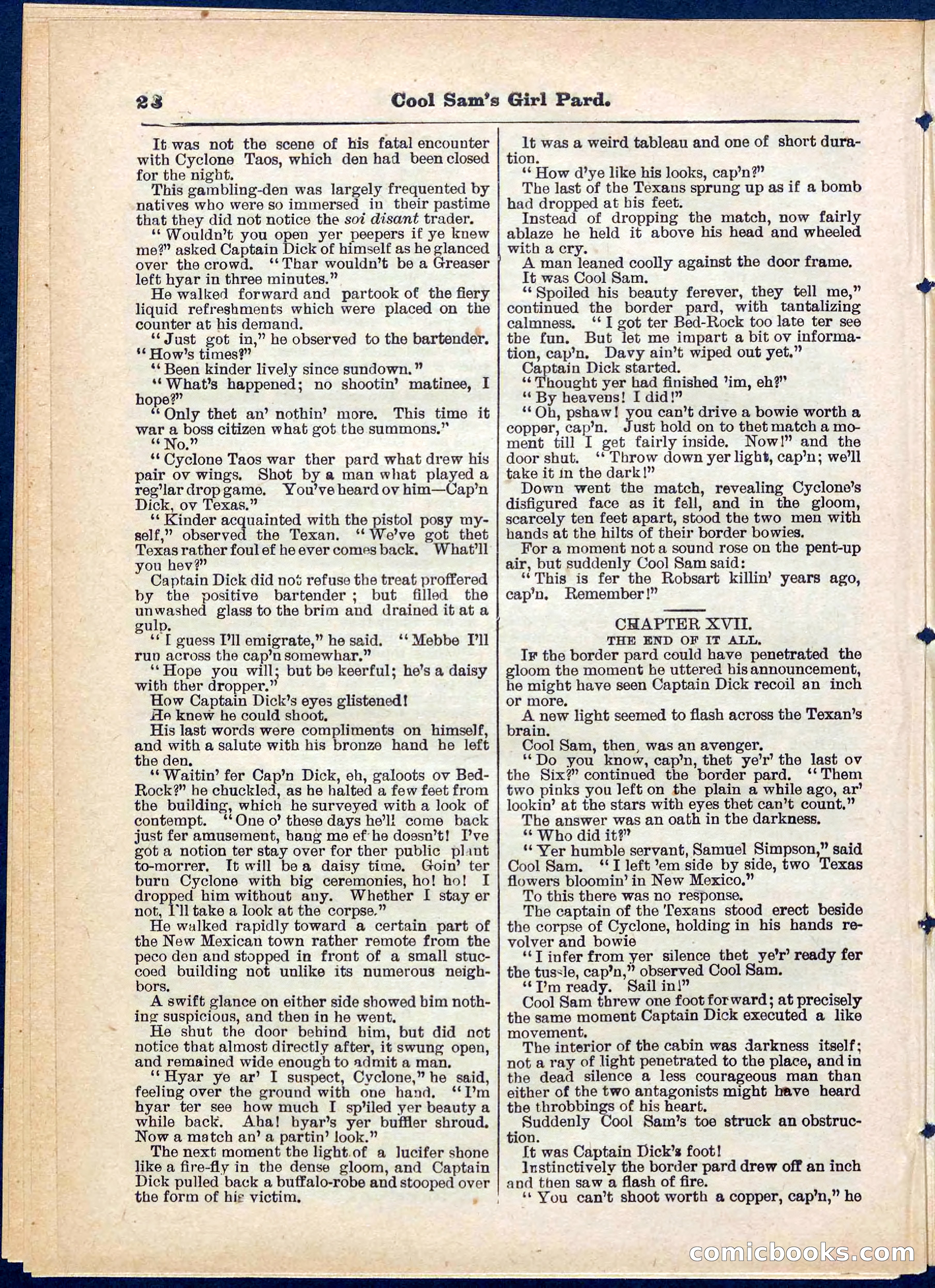 Beadle's Pocket Library No. 320 — page 28 of 32