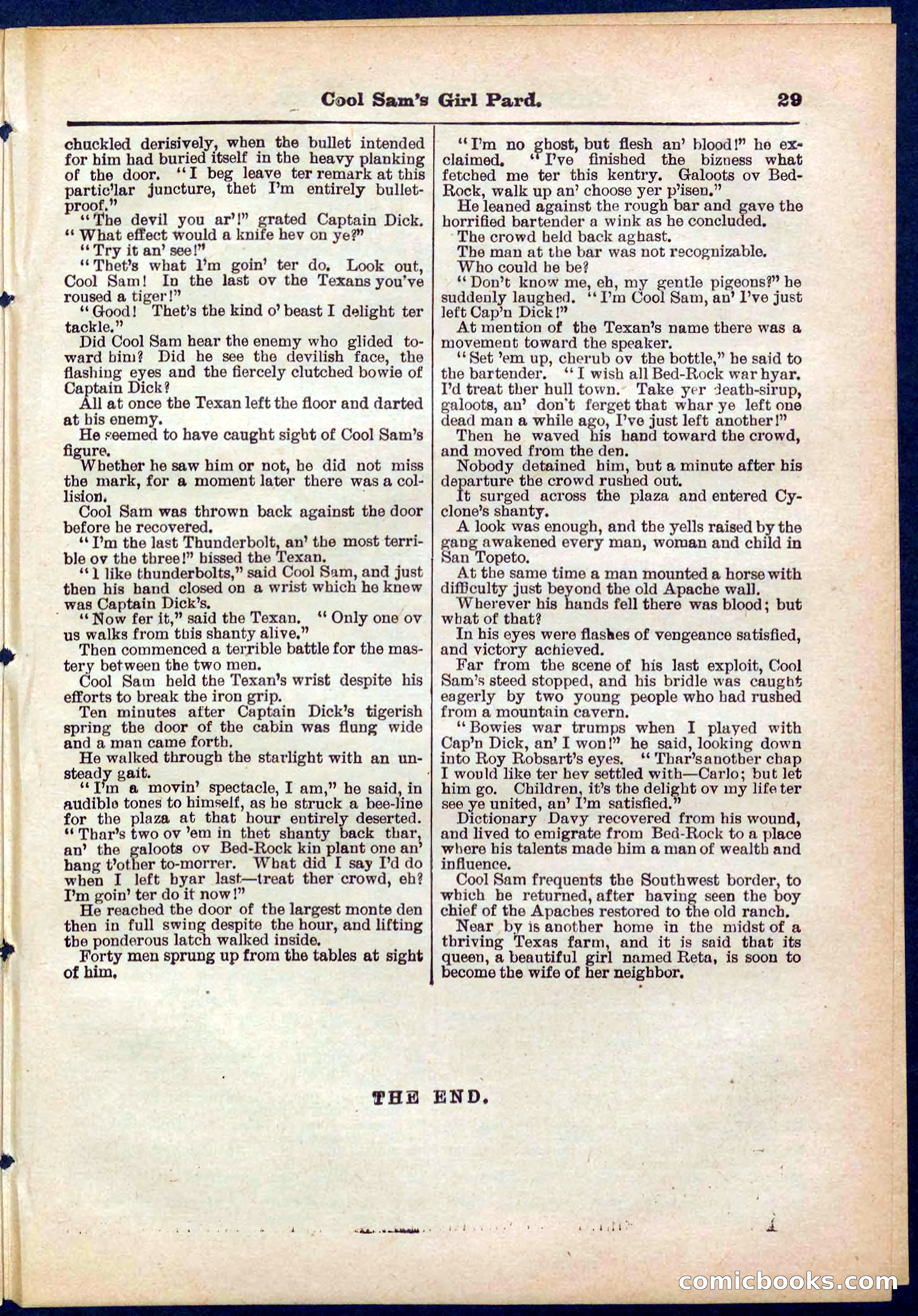 Beadle's Pocket Library No. 320 — page 29 of 32