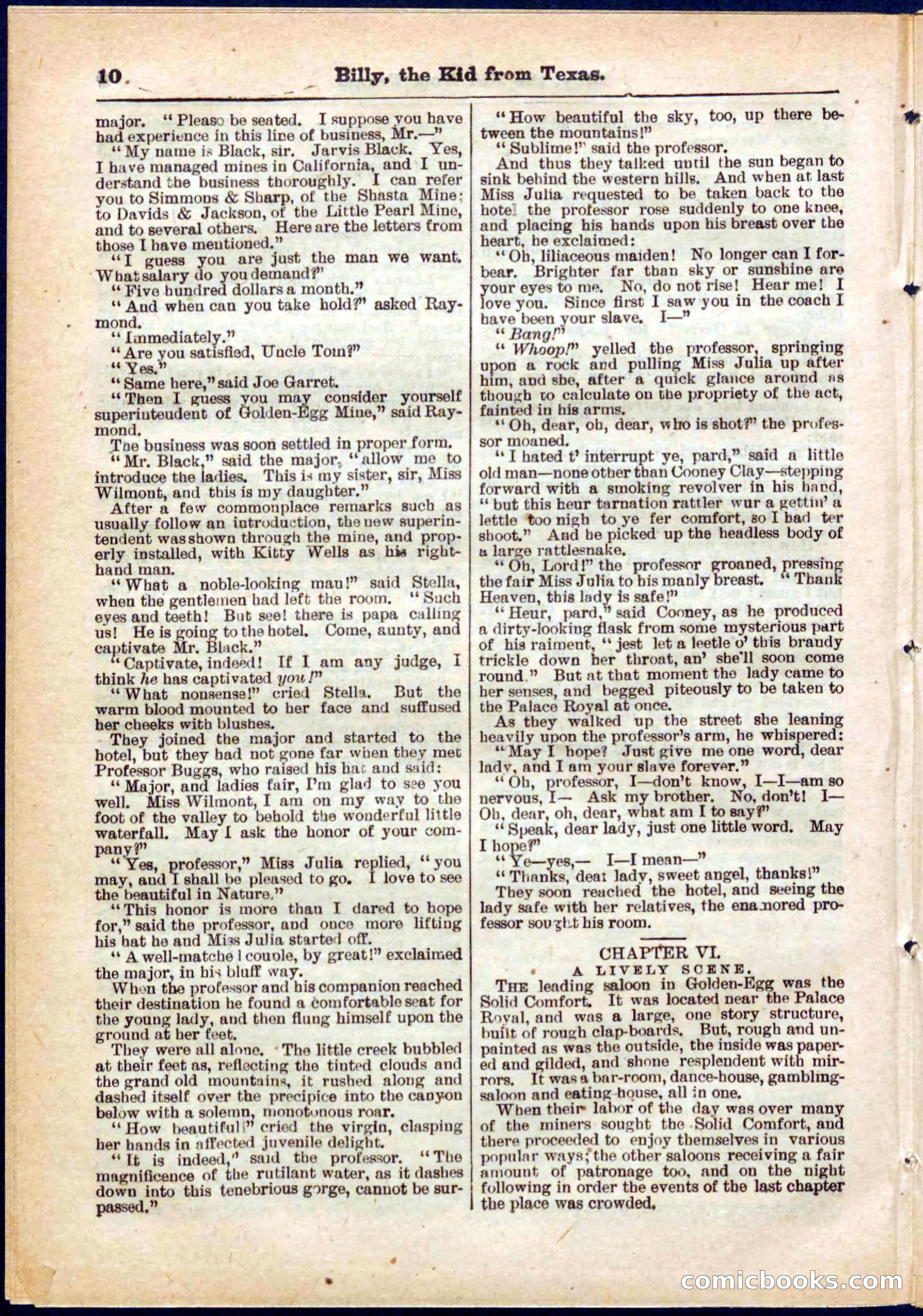 Beadle's Pocket Library No. 321 — page 10 of 32