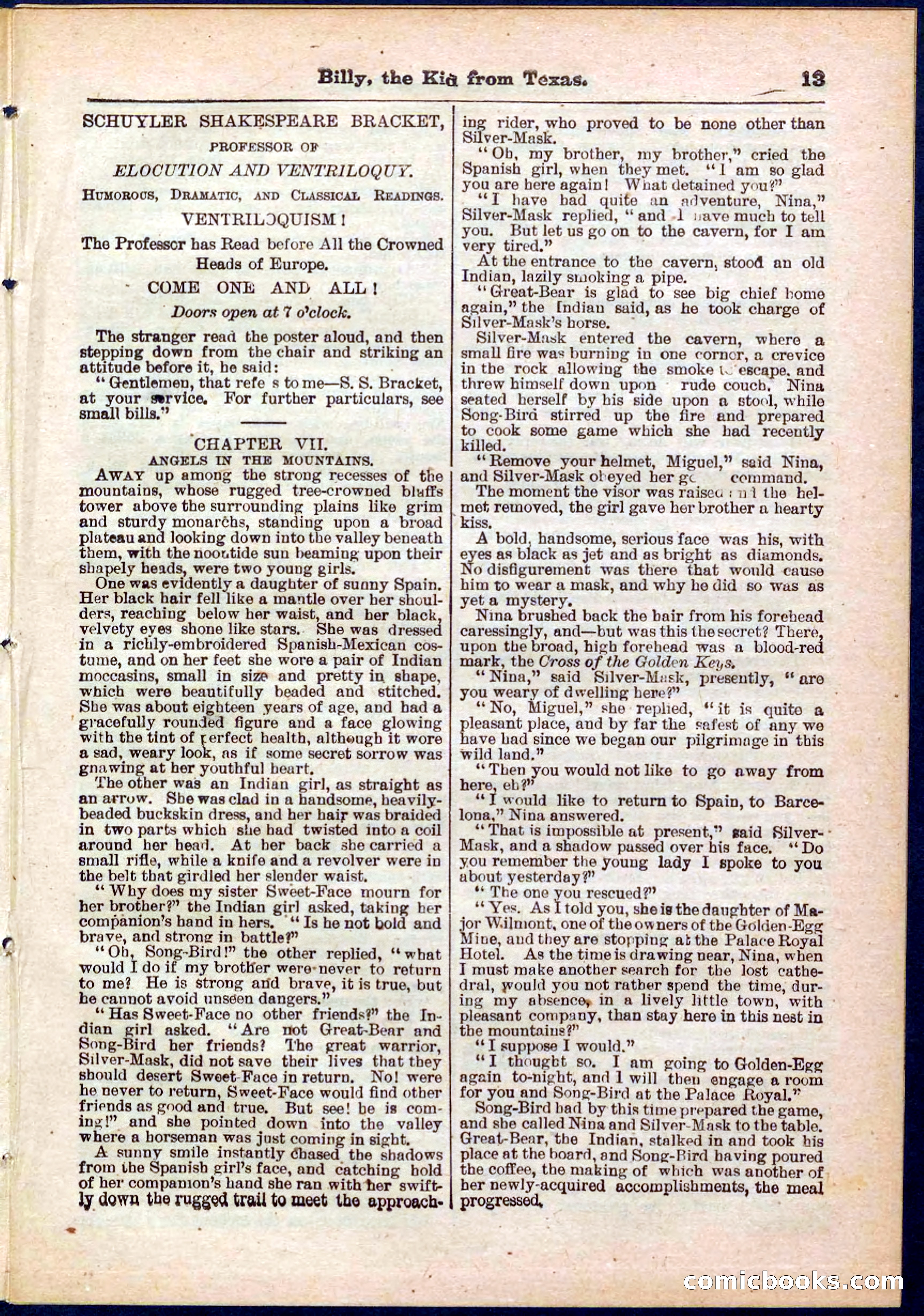 Beadle's Pocket Library No. 321 — page 13 of 32