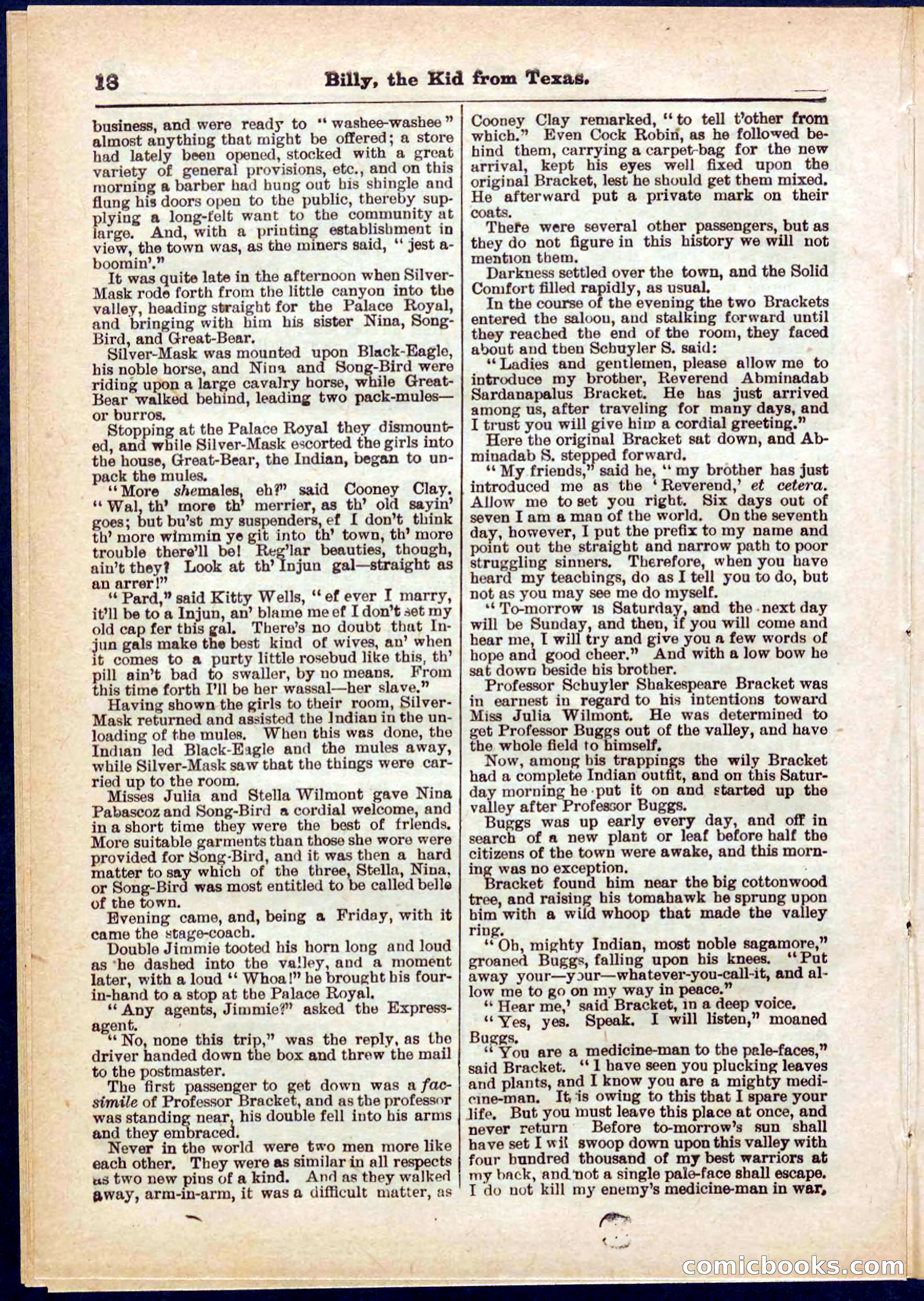 Beadle's Pocket Library No. 321 — page 18 of 32
