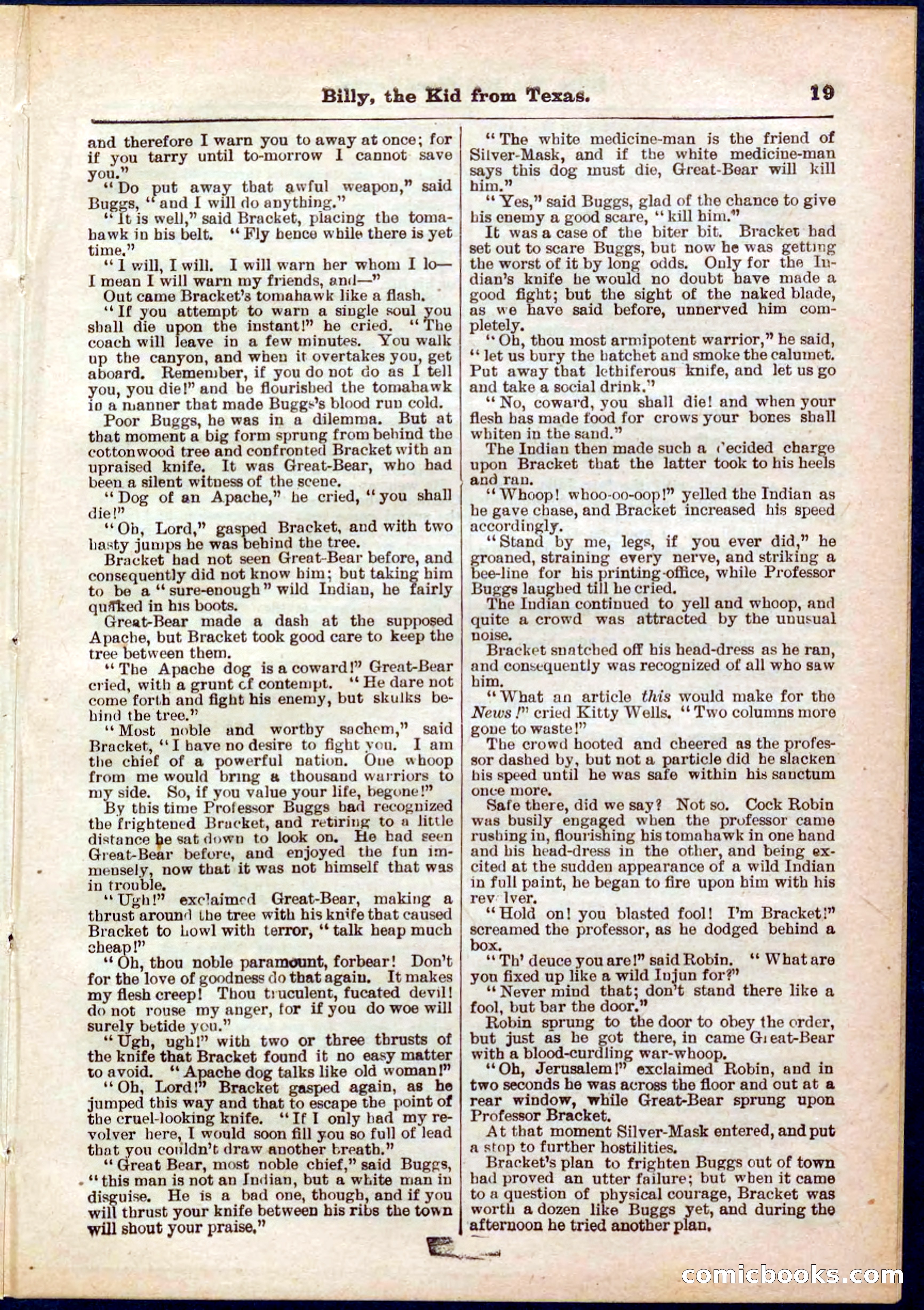 Beadle's Pocket Library No. 321 — page 19 of 32