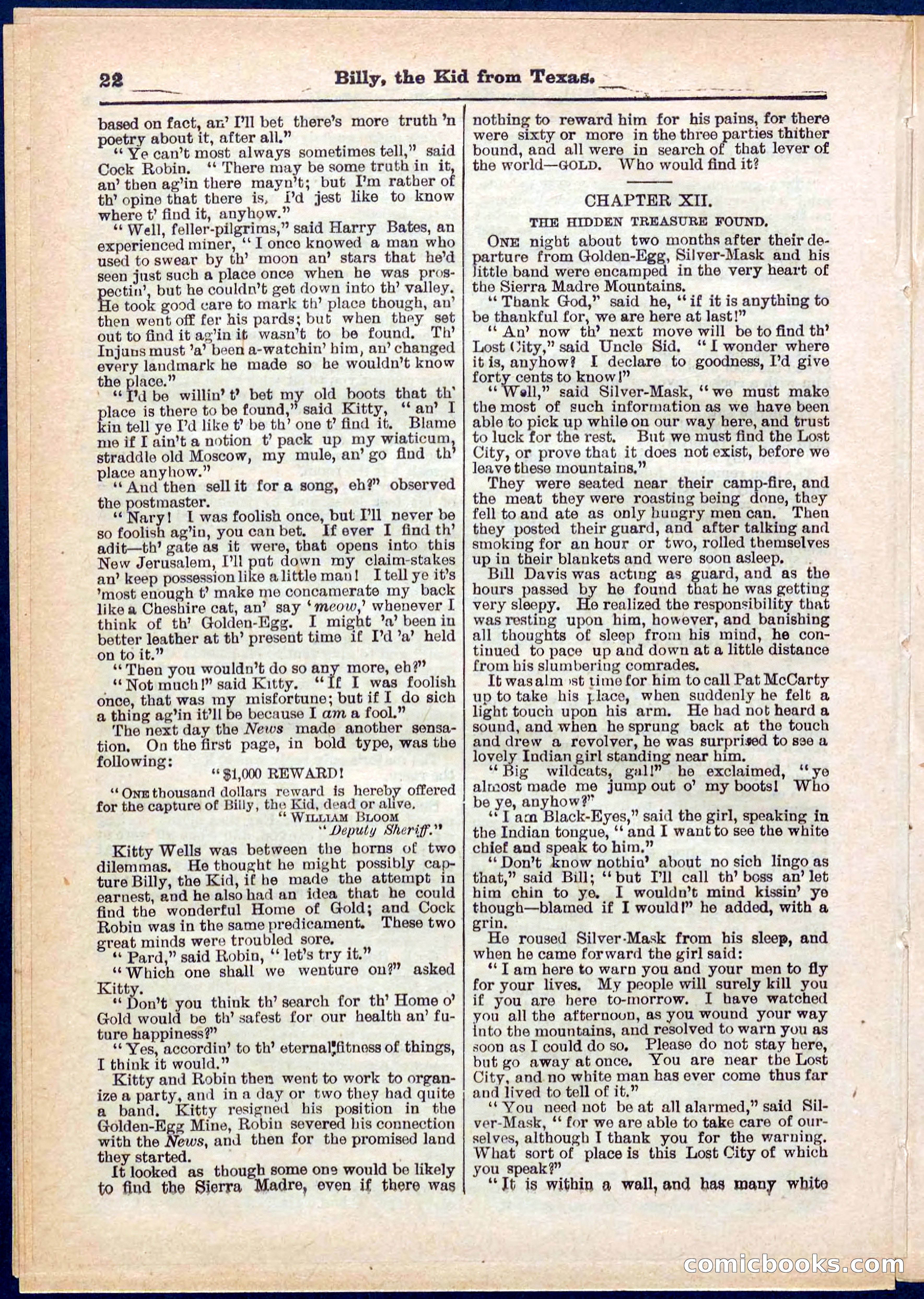 Beadle's Pocket Library No. 321 — page 22 of 32