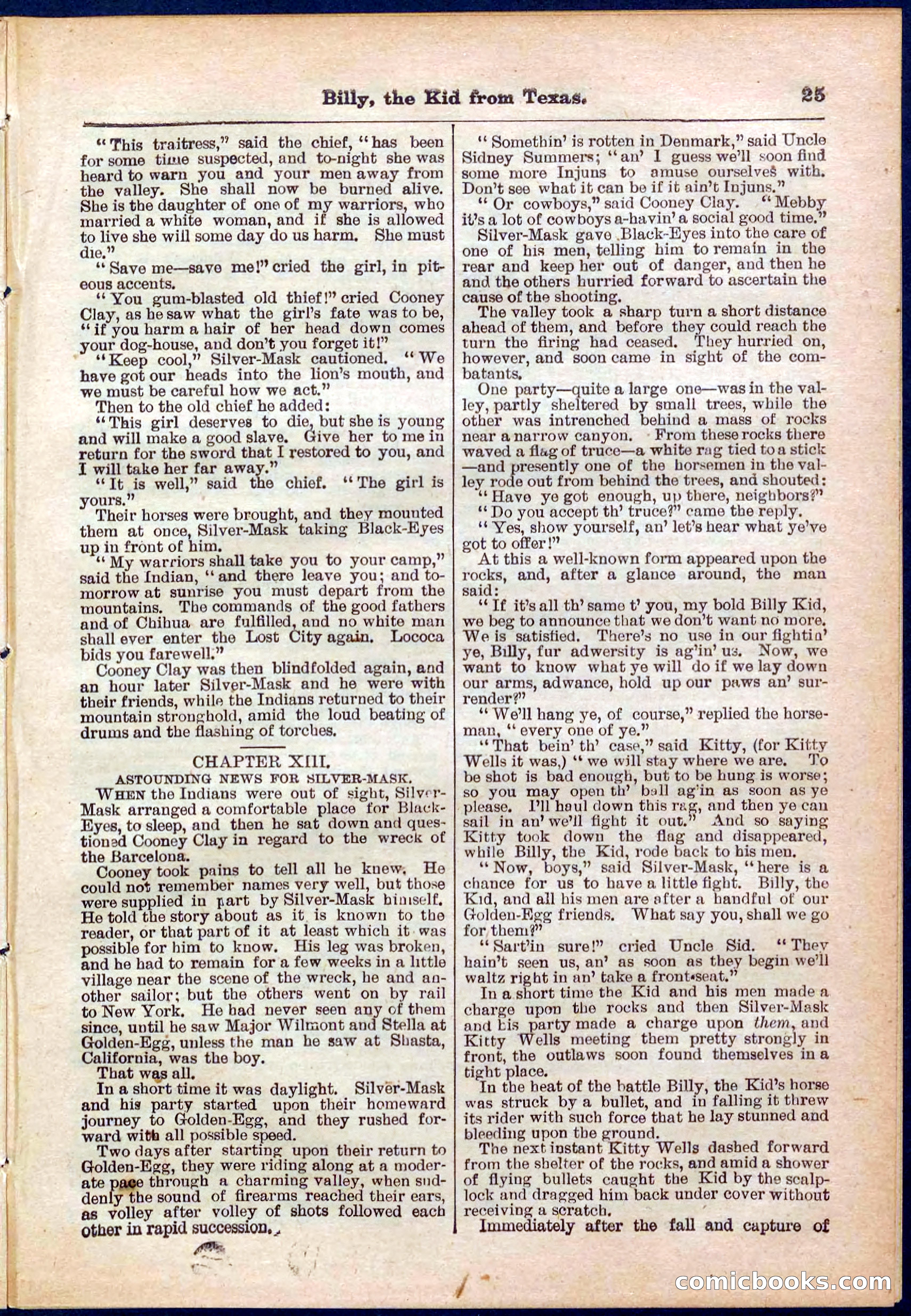 Beadle's Pocket Library No. 321 — page 25 of 32