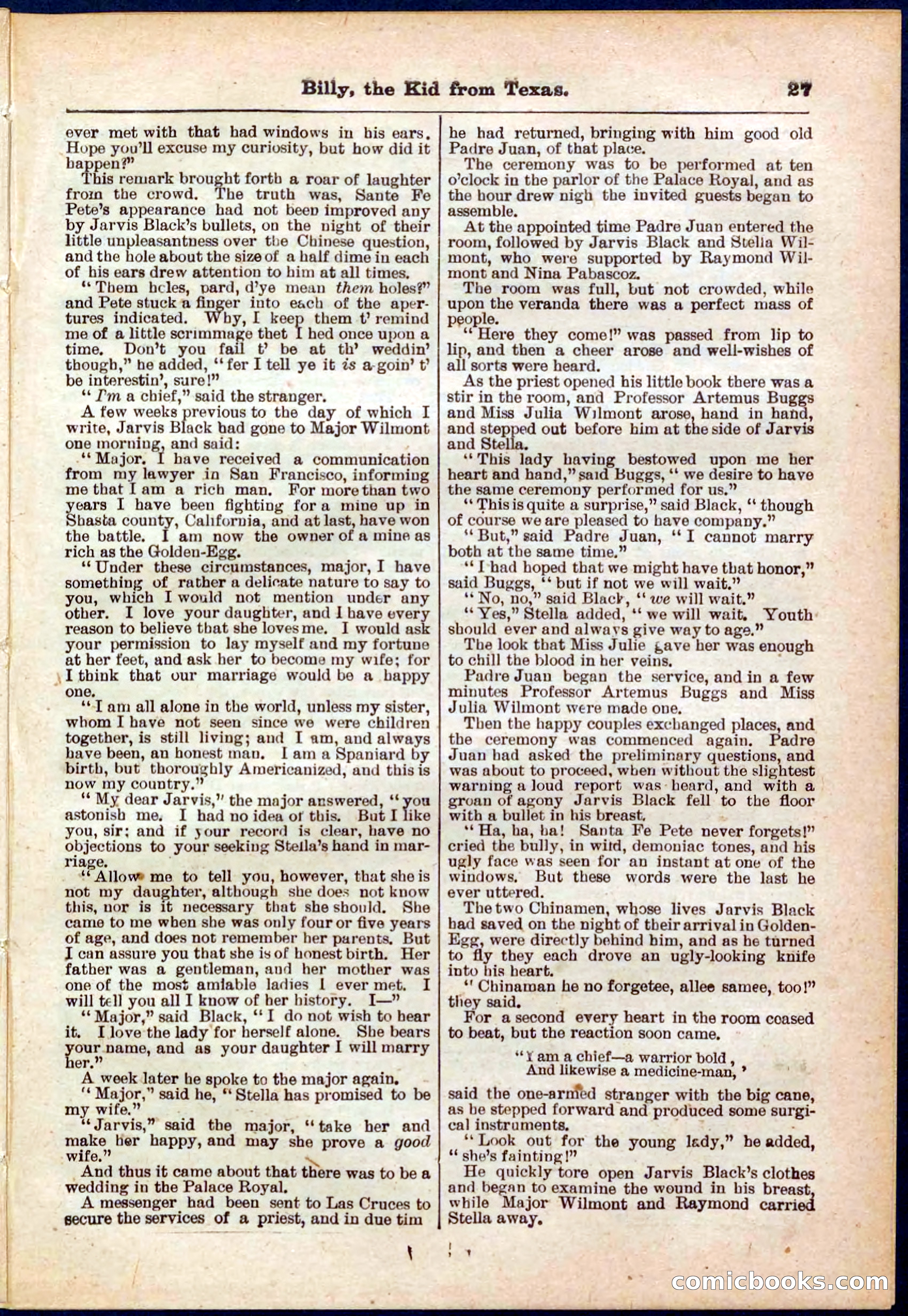 Beadle's Pocket Library No. 321 — page 27 of 32