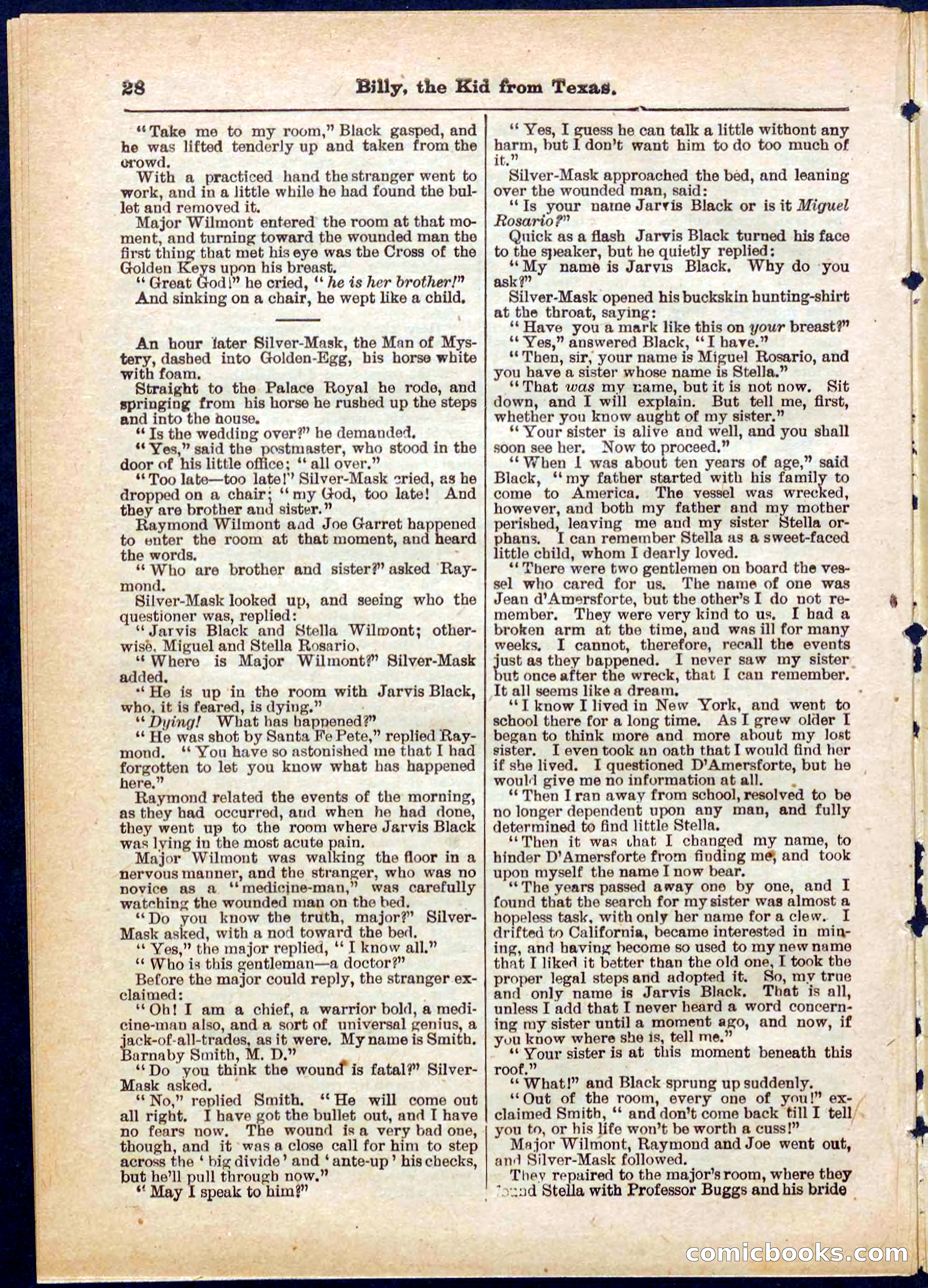 Beadle's Pocket Library No. 321 — page 28 of 32