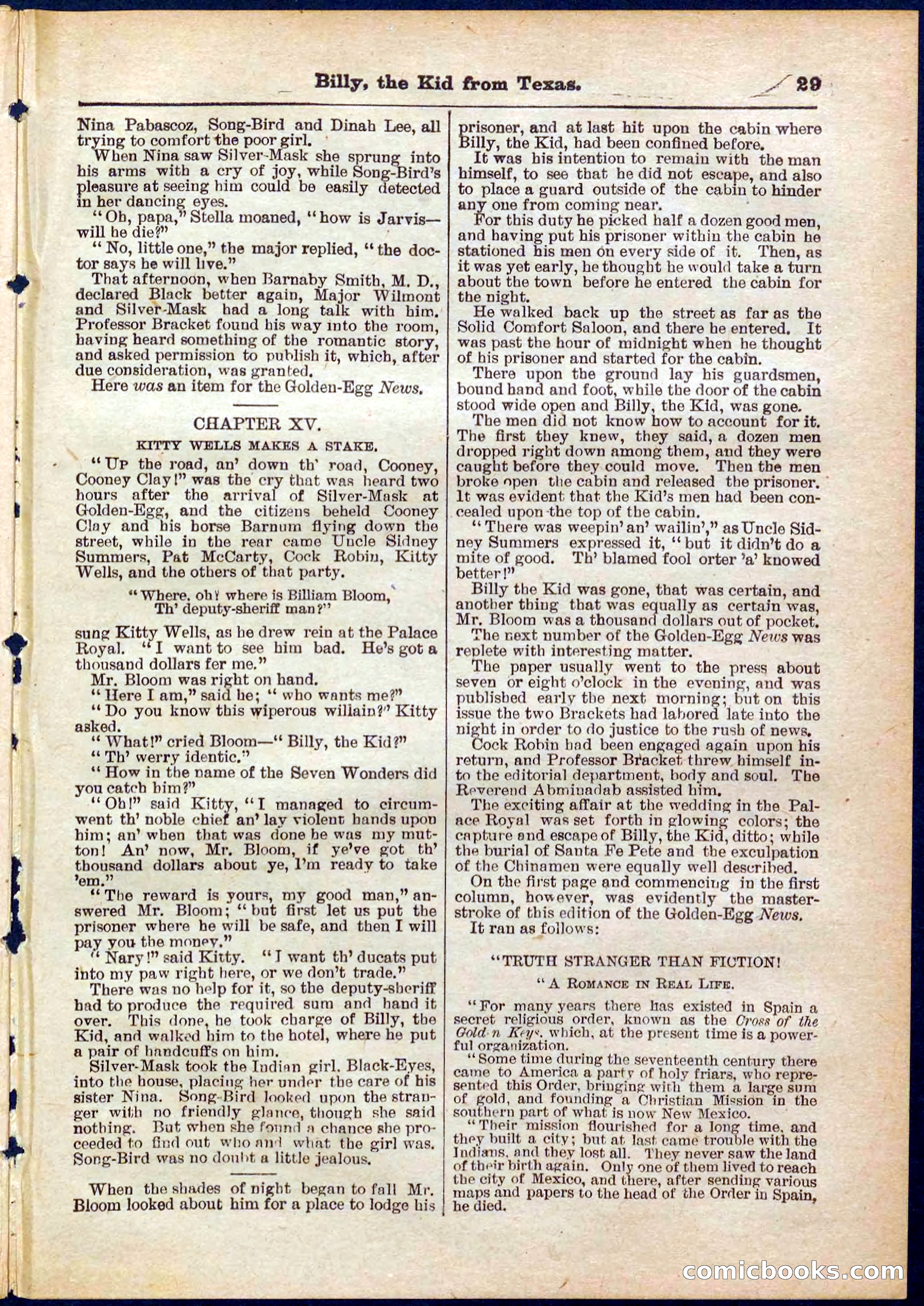 Beadle's Pocket Library No. 321 — page 29 of 32
