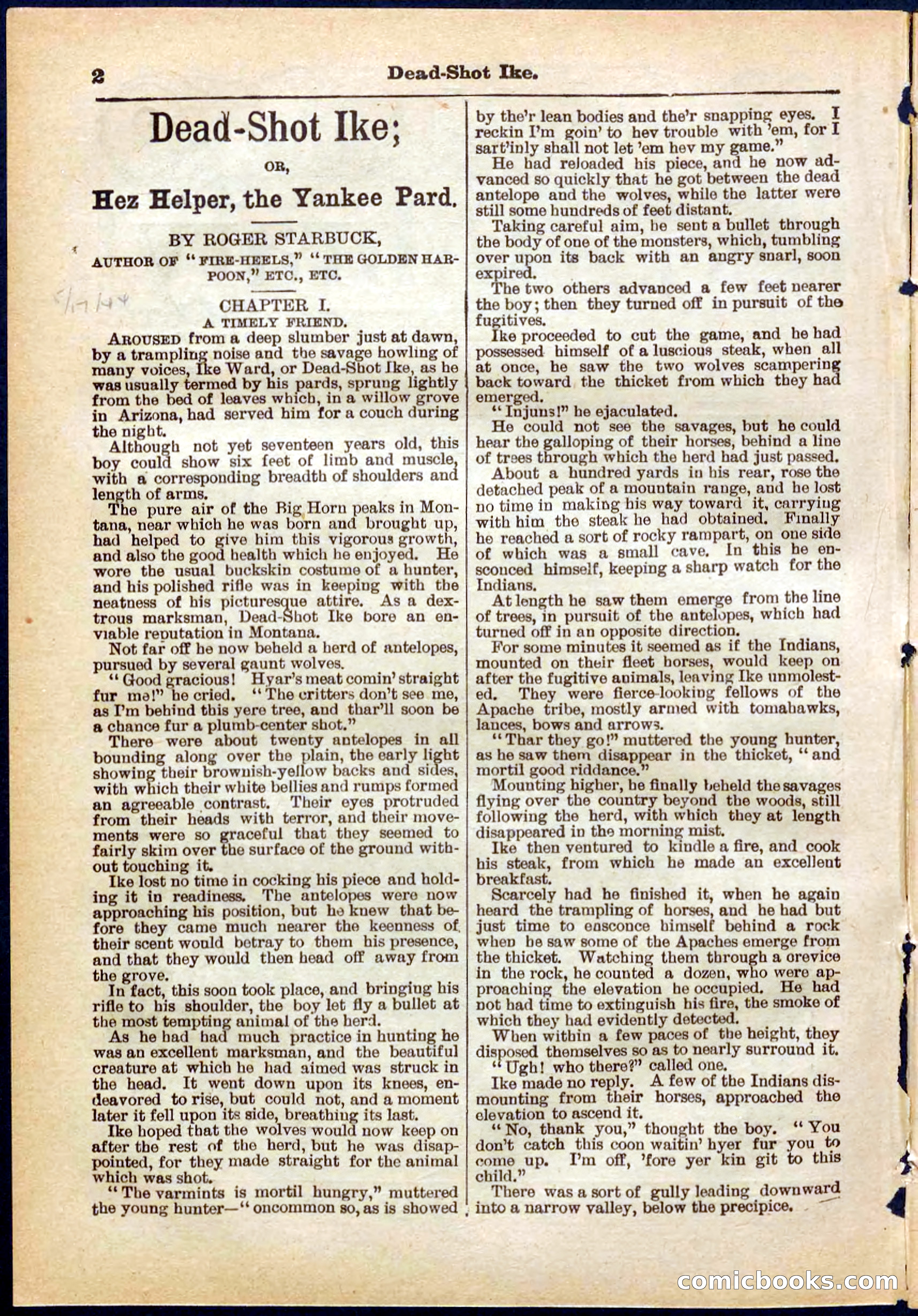 Beadle's Pocket Library No. 323 — page 2 of 32