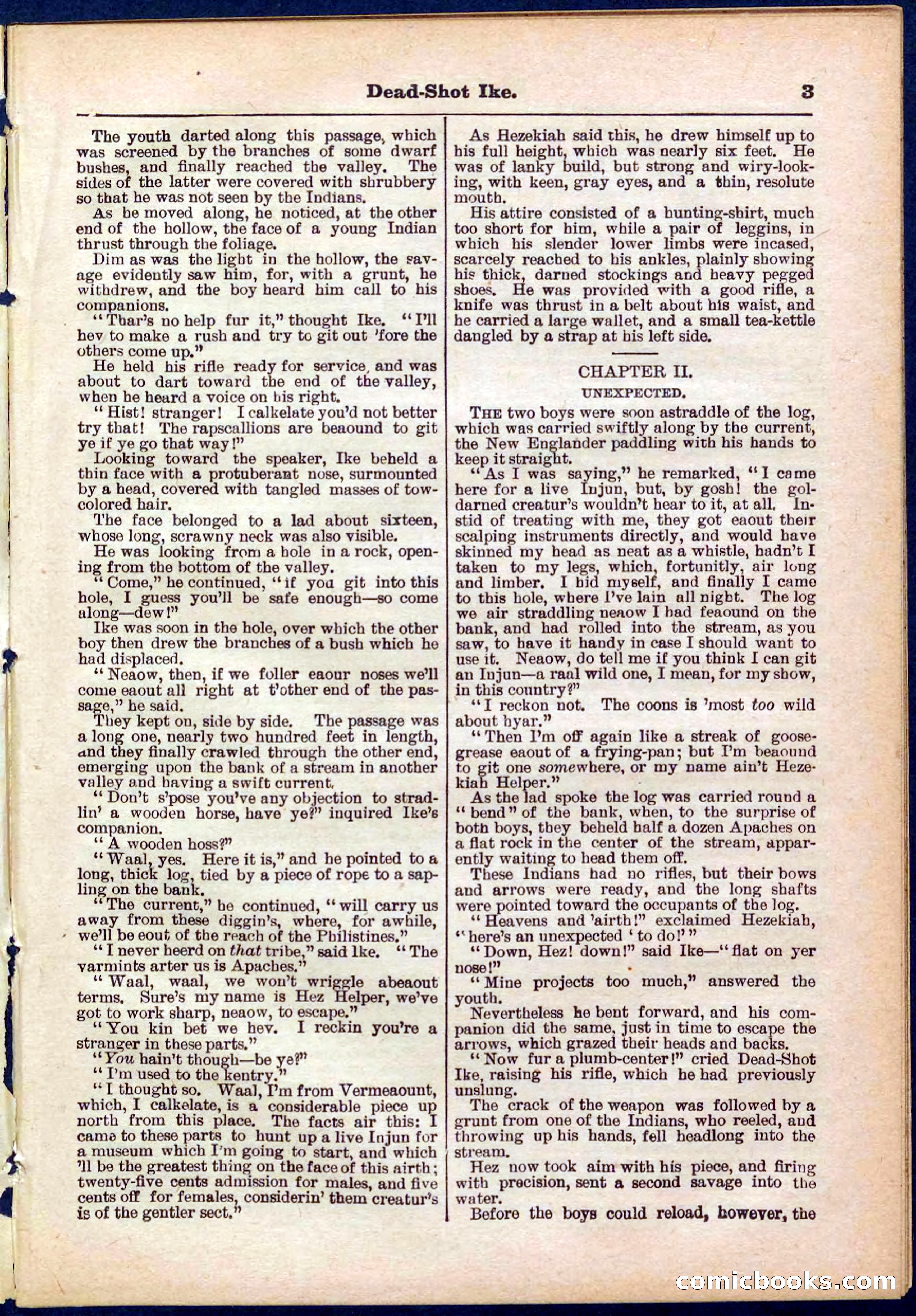 Beadle's Pocket Library No. 323 — page 3 of 32