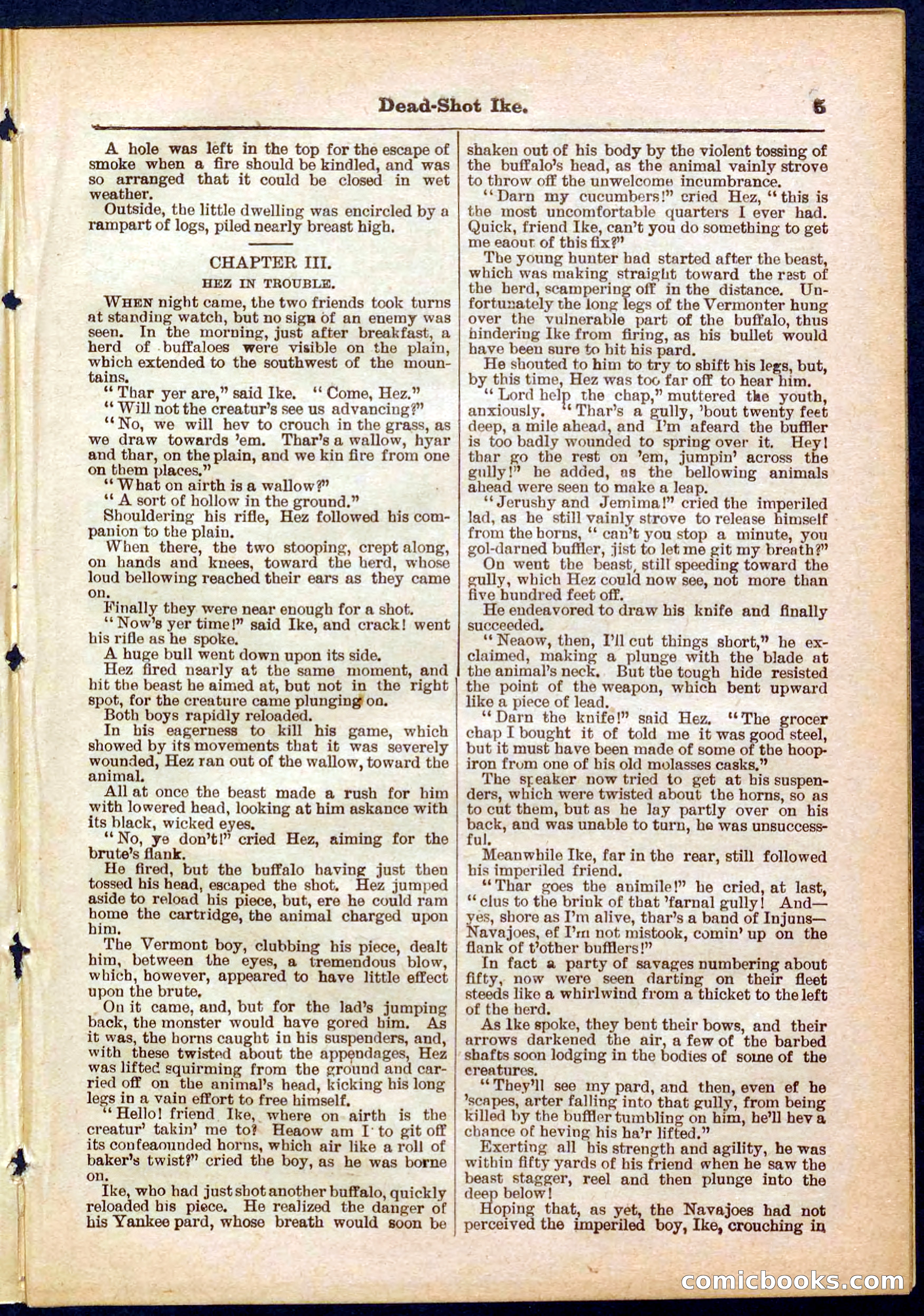 Beadle's Pocket Library No. 323 — page 5 of 32